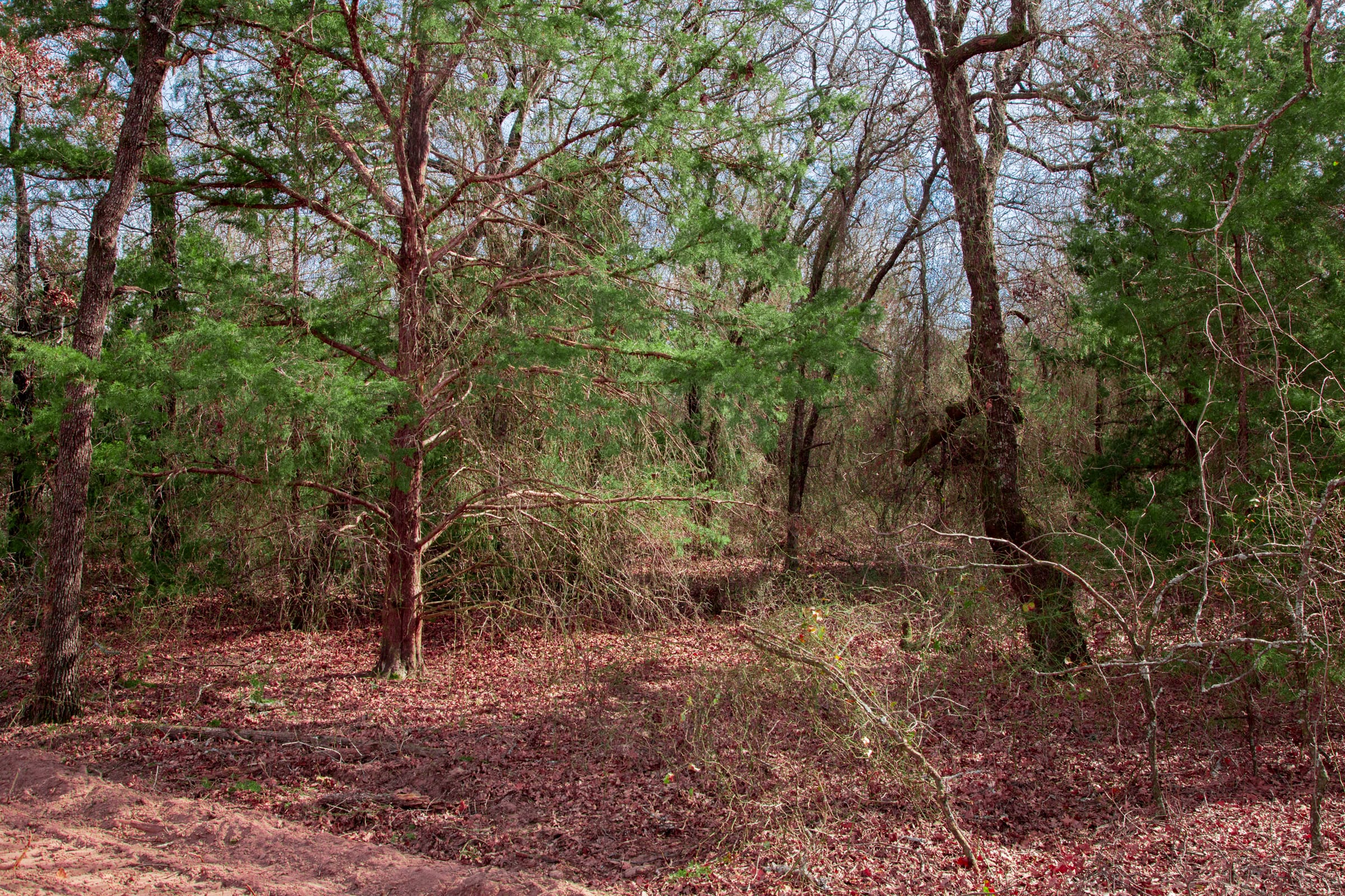 Legacy Ranch Tract 15 photo 6