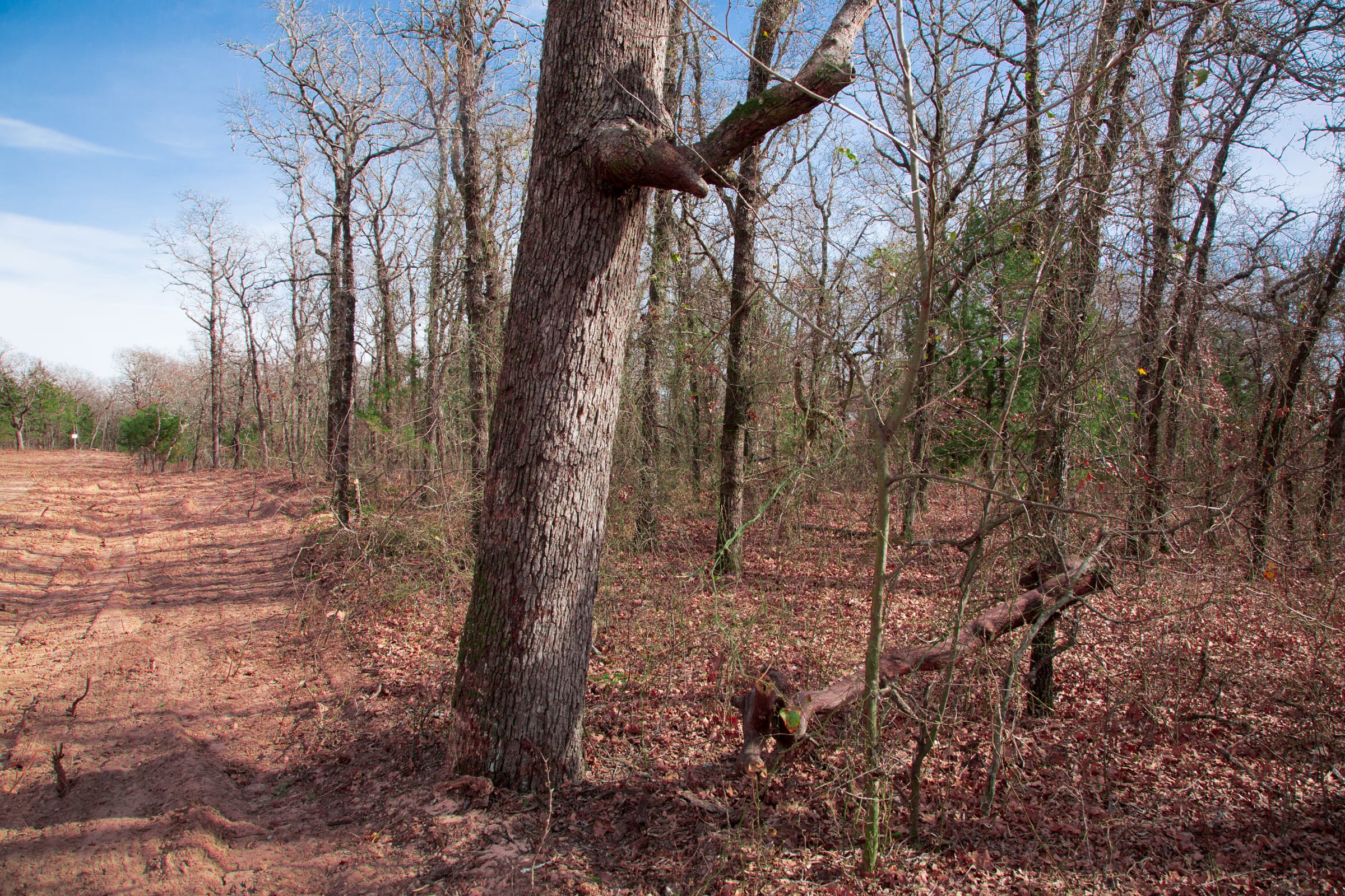 Legacy Ranch Tract 15 photo 9