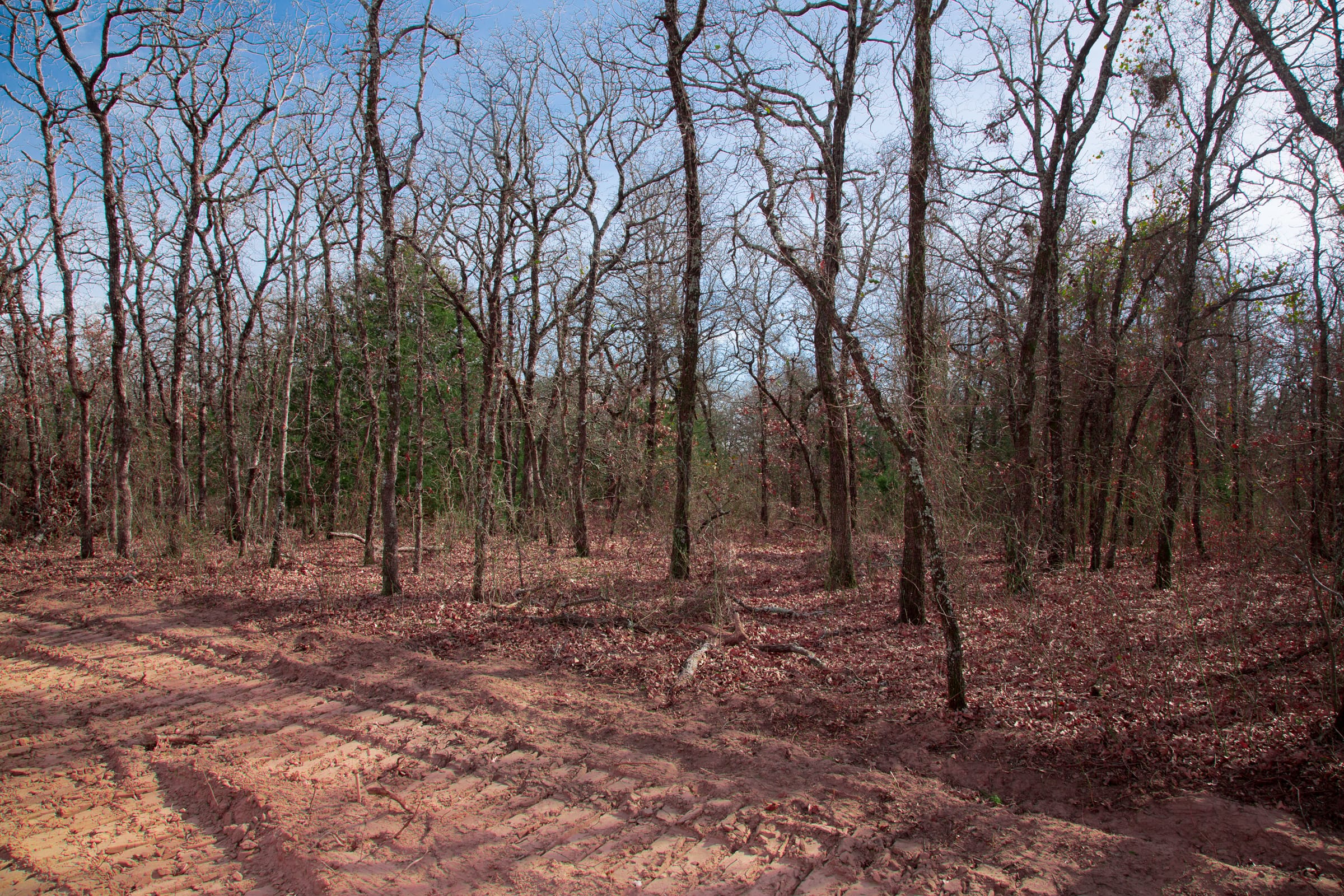 Legacy Ranch Tract 15 photo 10