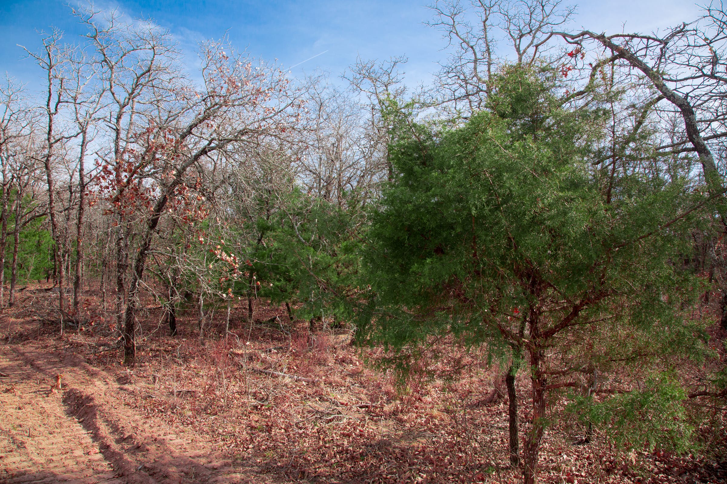 Legacy Ranch Tract 15 photo 11