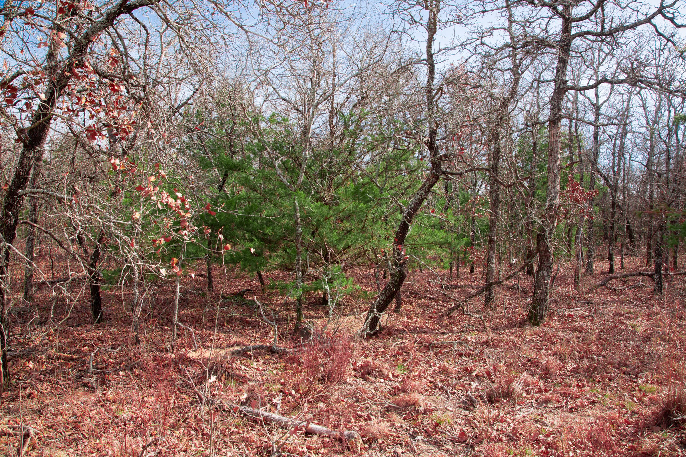 Legacy Ranch Tract 15 photo 12