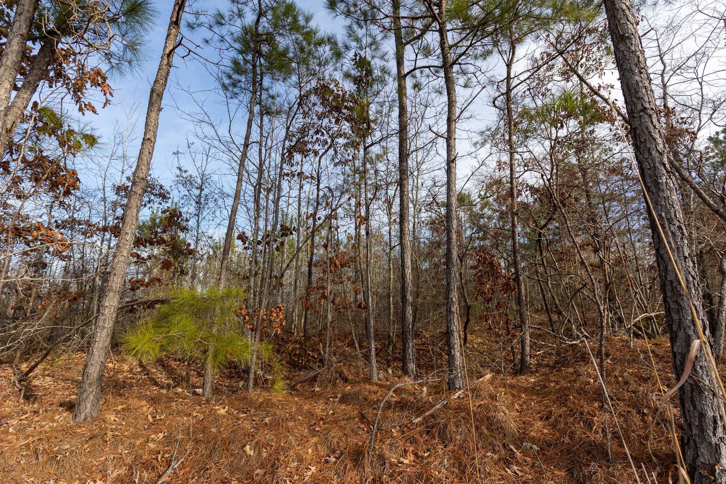 Baker Creek Tract 14 photo 3