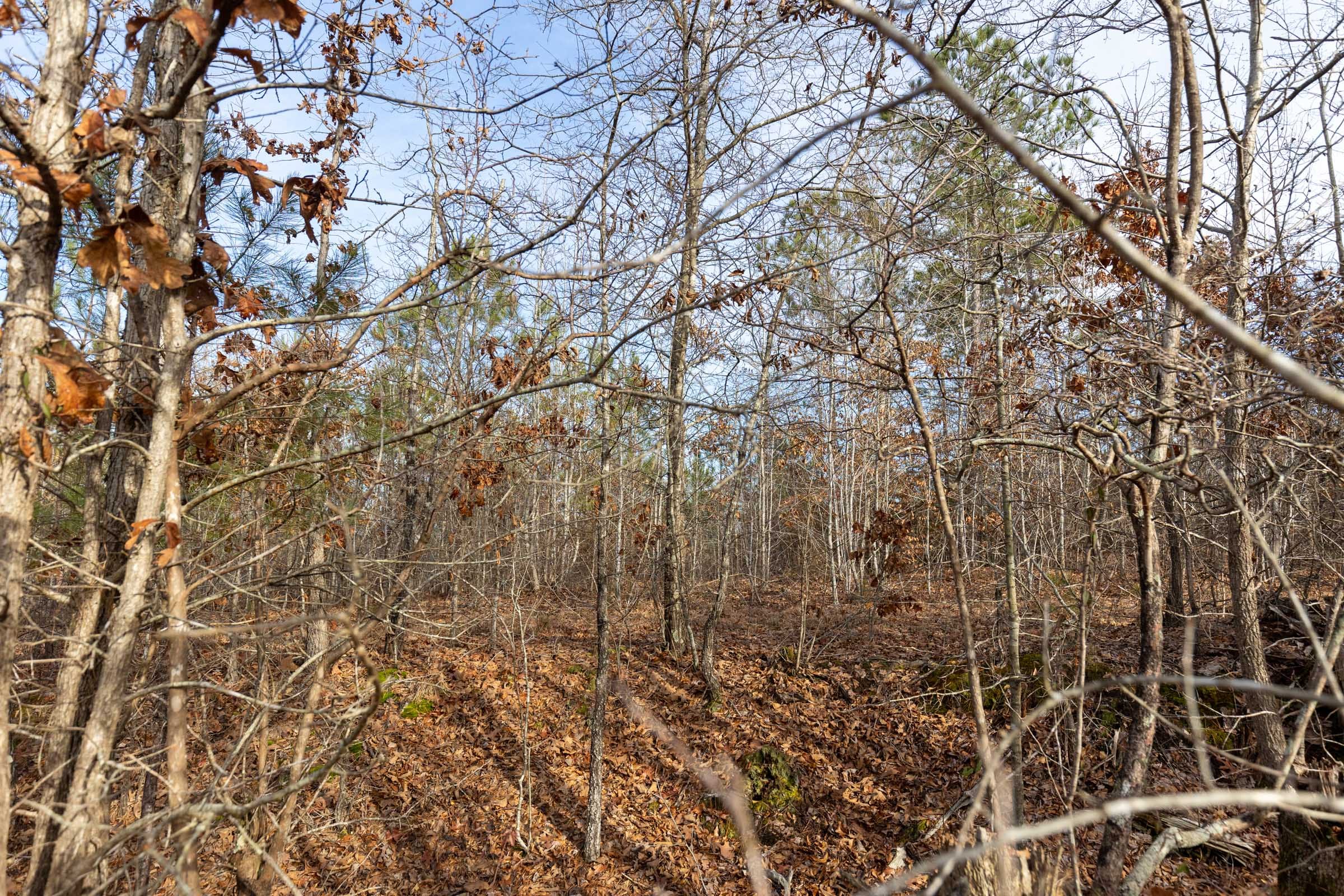 Baker Creek Tract 14 photo 6