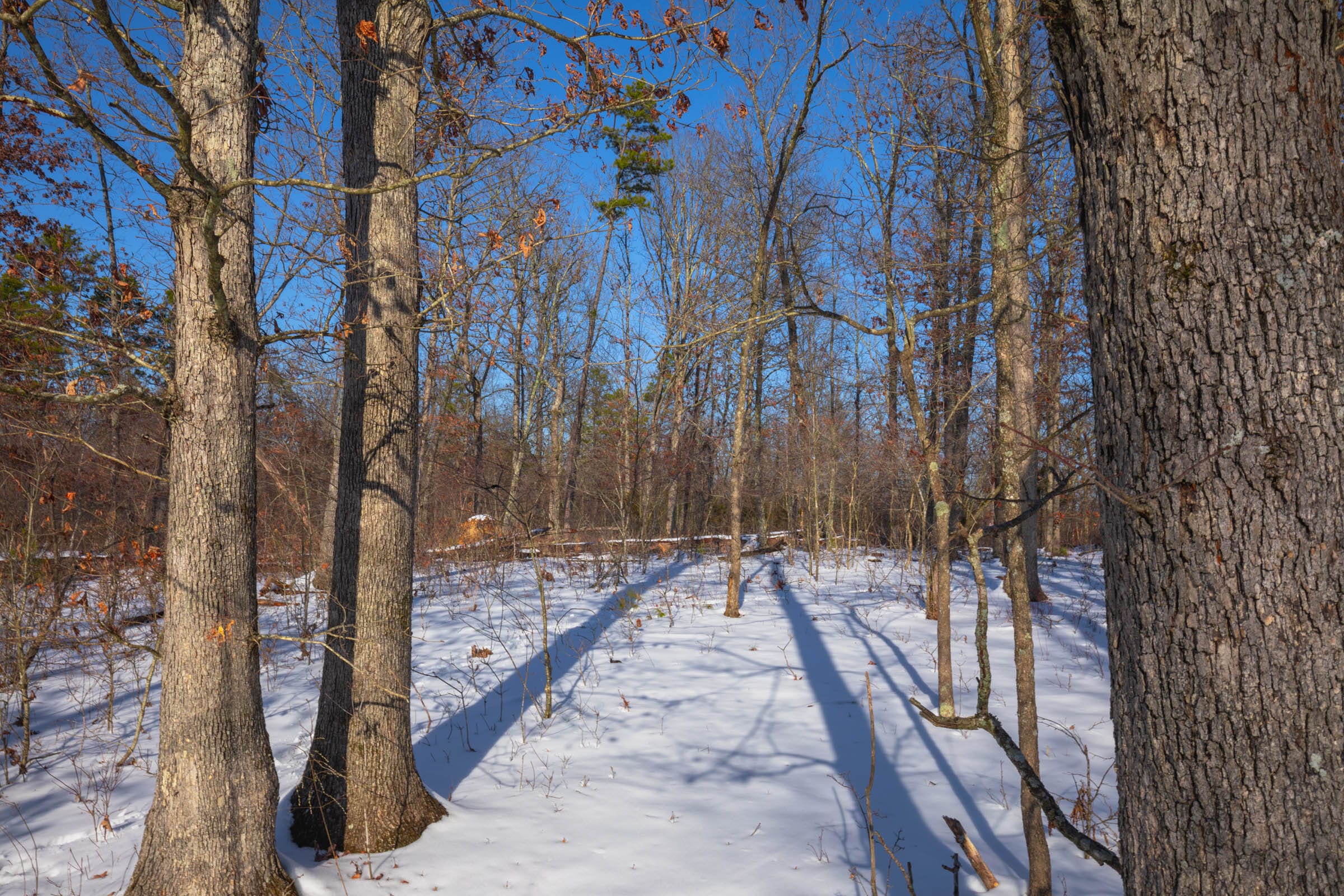Sleepy Hollow Phase I Tract 44 photo 1