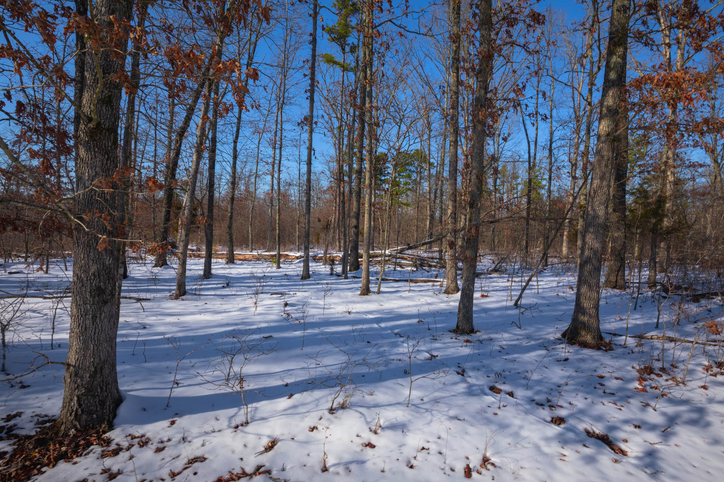Sleepy Hollow Phase I Tract 44 photo 2