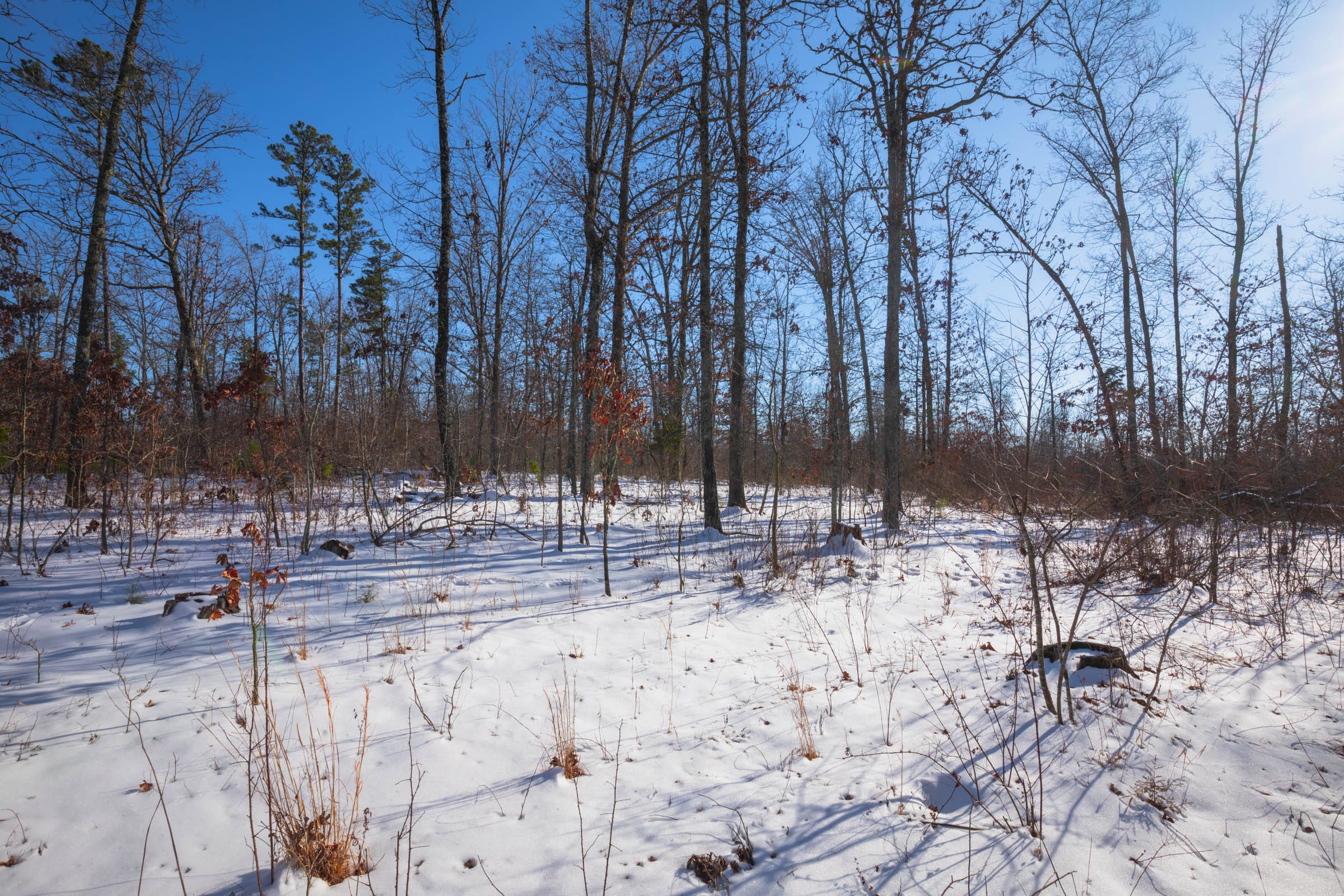 Sleepy Hollow Phase I Tract 44 photo 6