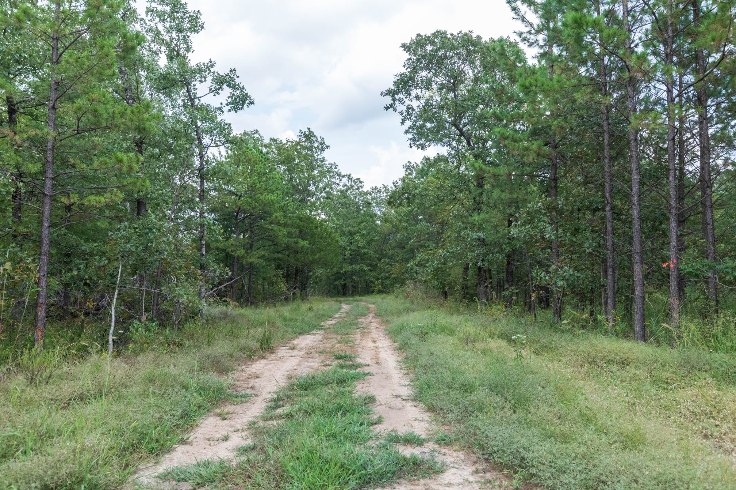 Stone Bridge Phase V Tract 354 photo 1