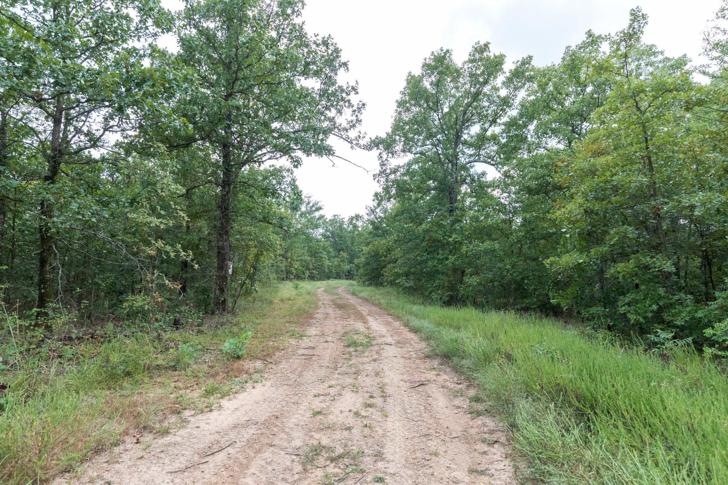 Stone Bridge Phase V Tract 354 photo 4