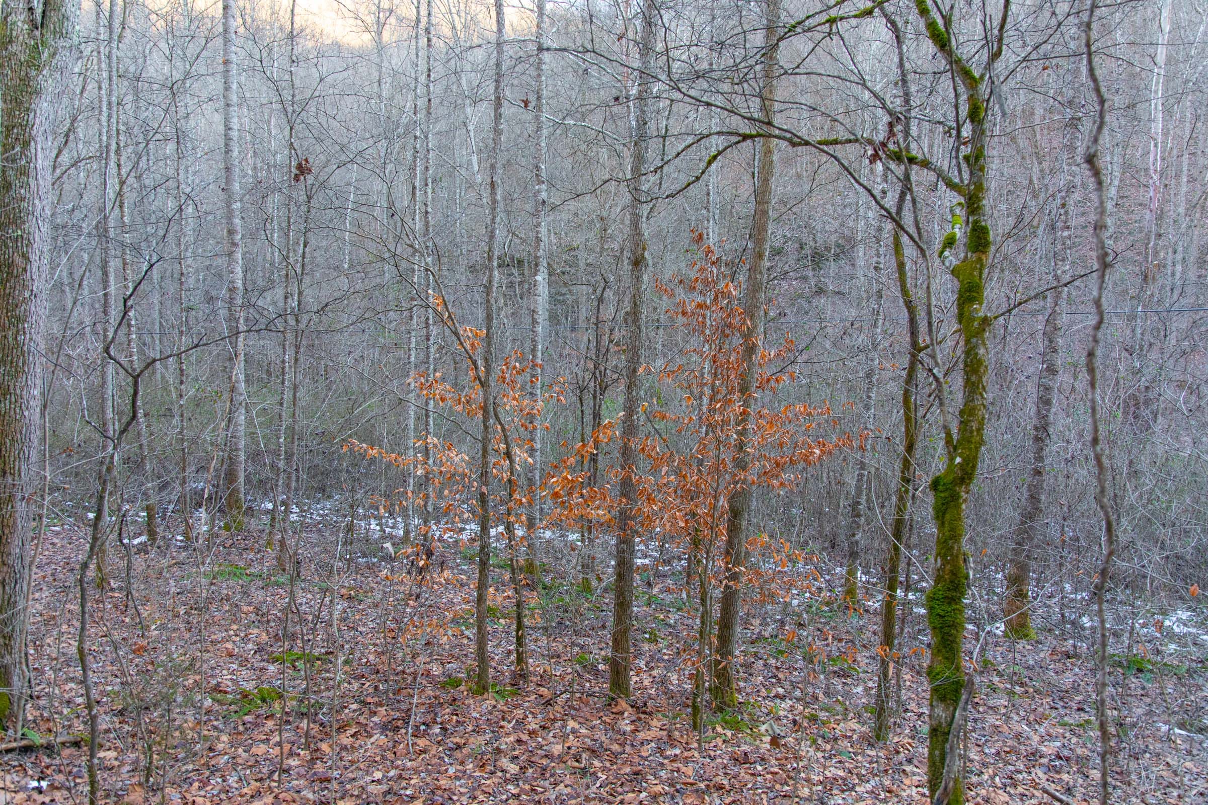 Blackstone Mountain Phase I Tract 4 photo 3