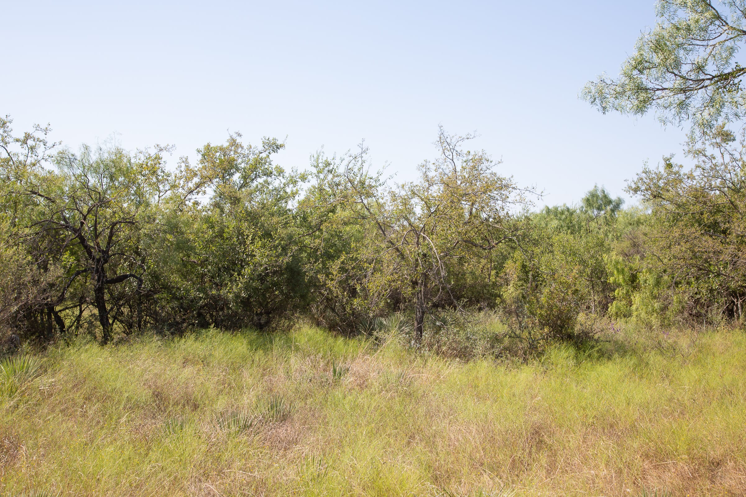 Hunter’s Ranch Tract 2 photo 4
