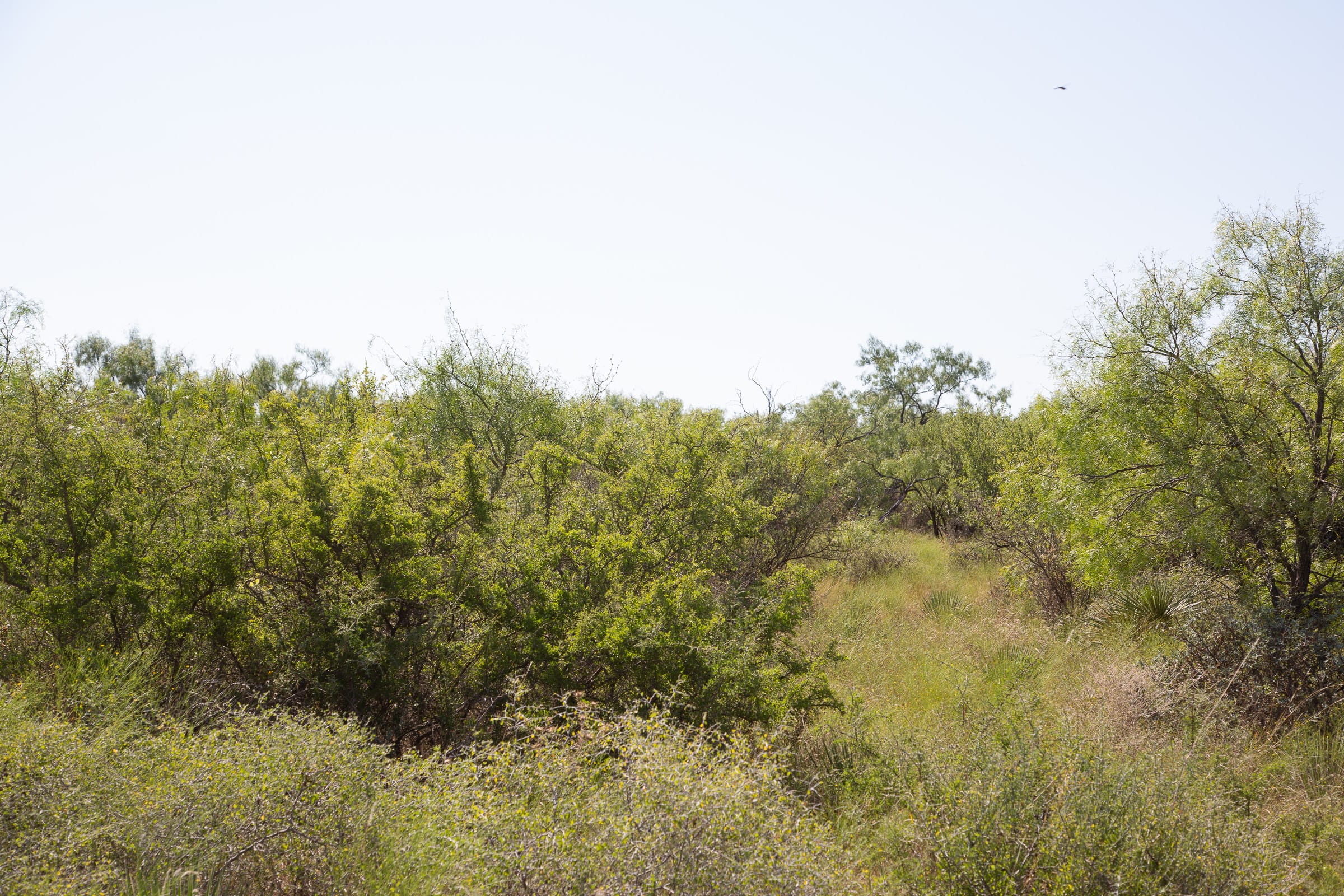 Hunter’s Ranch Tract 2 photo 5