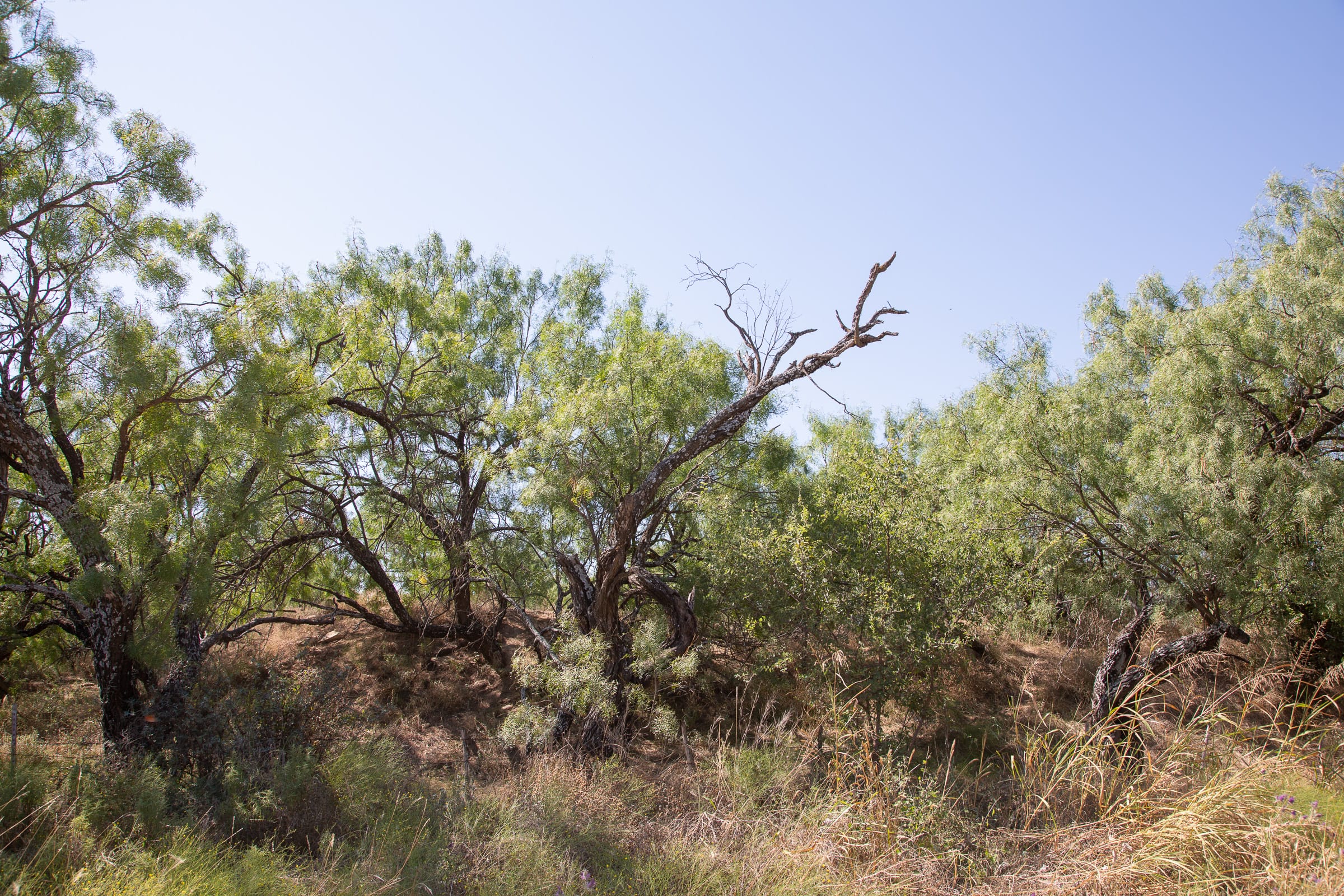 Hunter’s Ranch Tract 2 photo 7