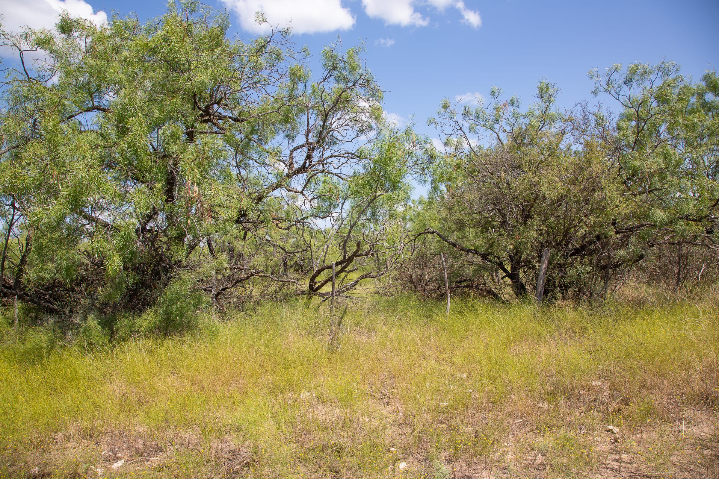 Hunter’s Ranch Tract 2 photo 8
