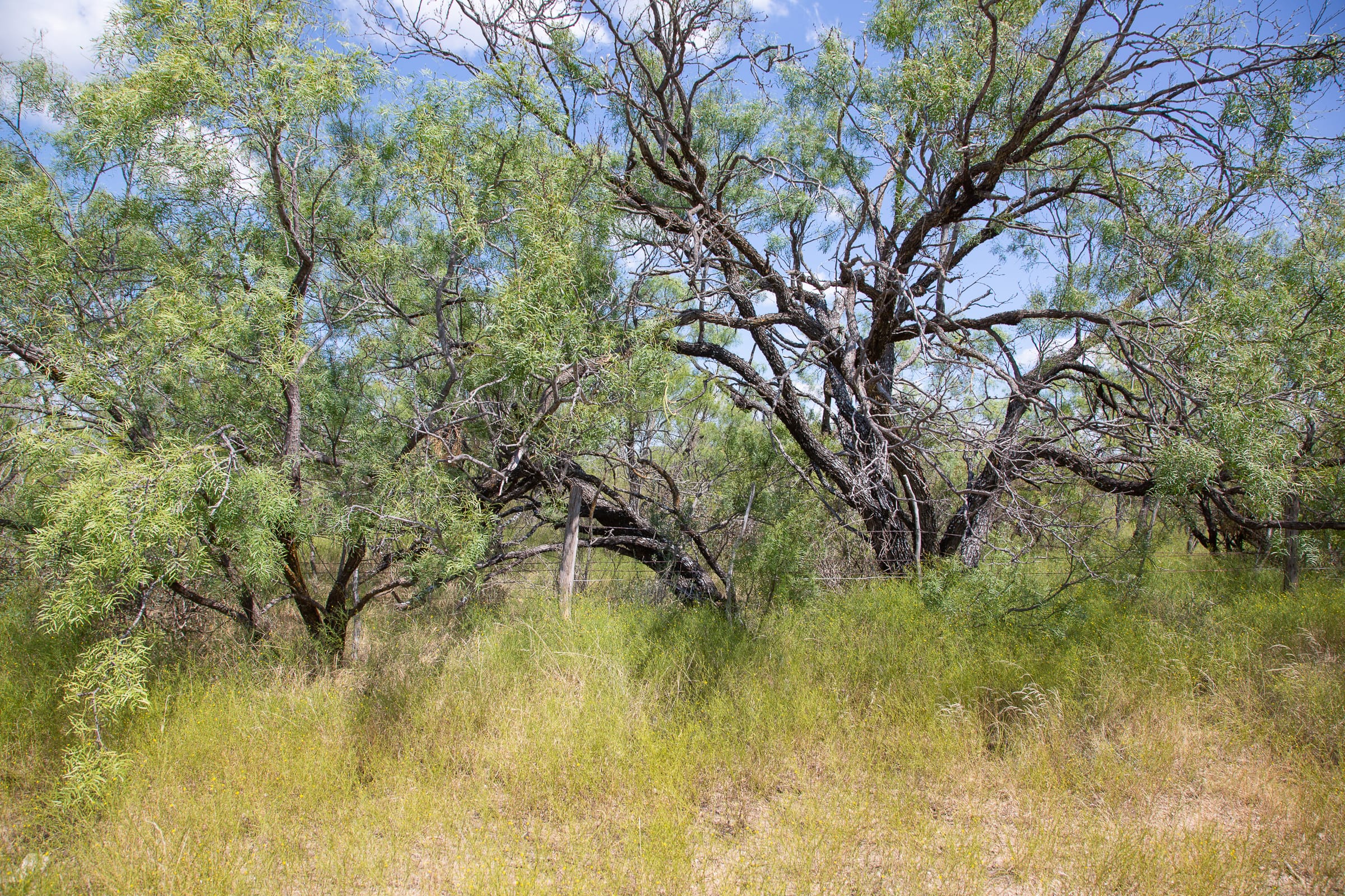 Hunter’s Ranch Tract 2 photo 9