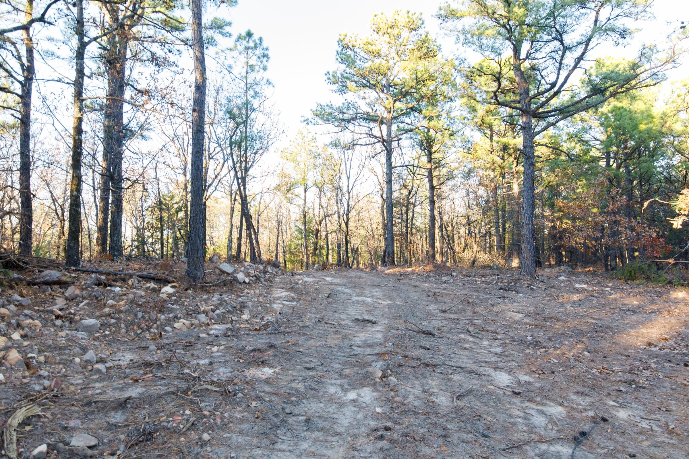 Stone Bridge Phase II Tract 89 photo 1