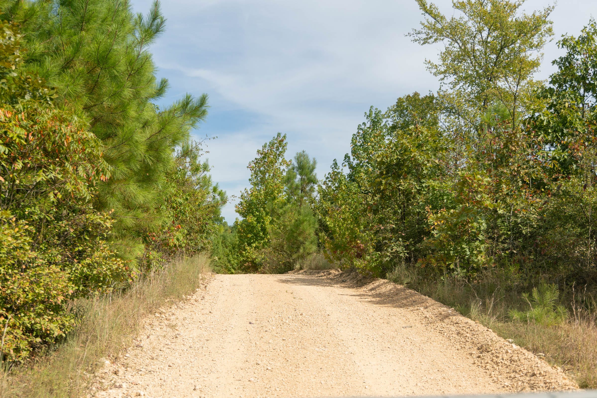 Big White Oak Tract 40 photo 7