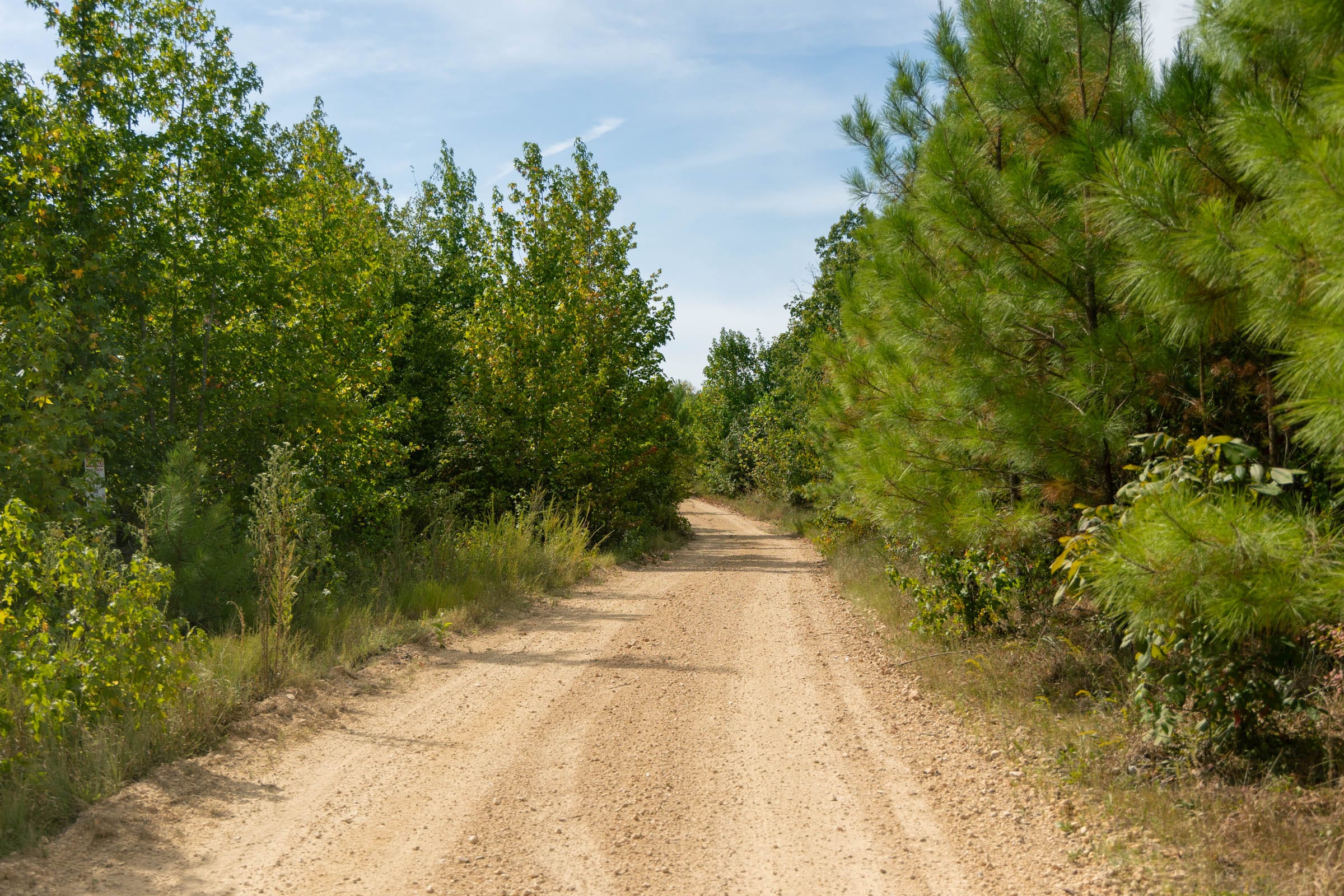 Big White Oak Tract 25 photo 3