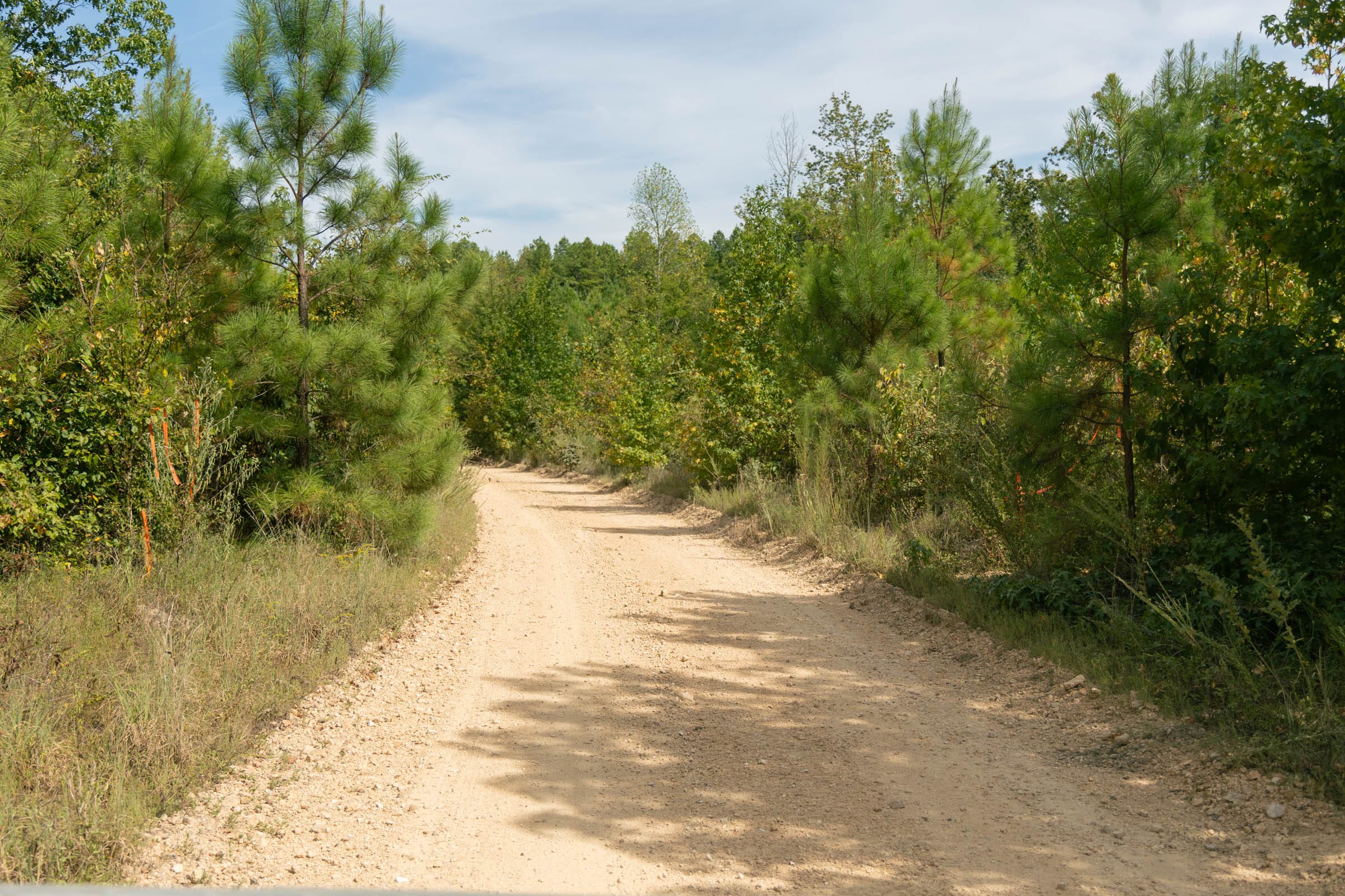 Big White Oak Tract 25 photo 6
