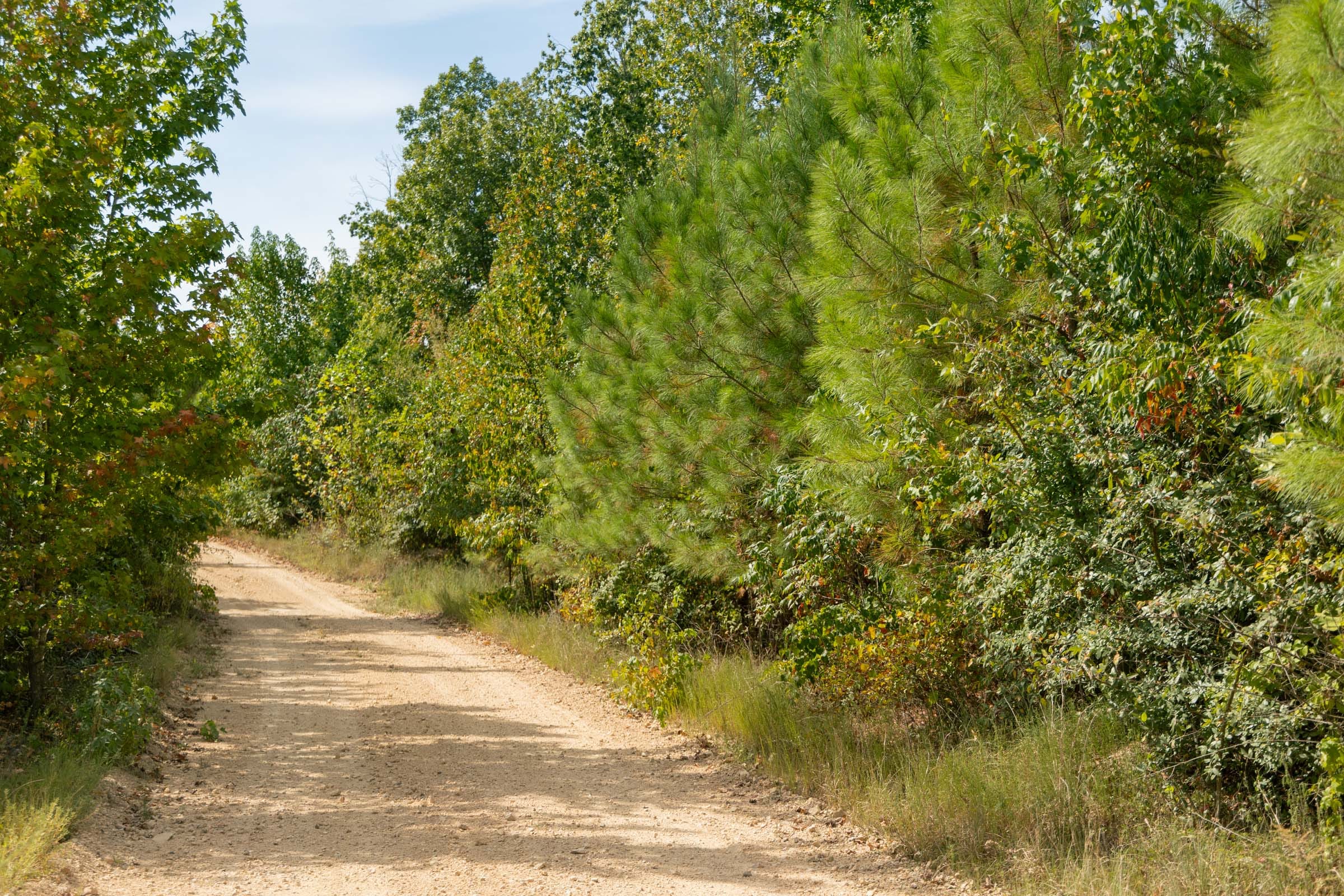 Big White Oak Tract 40 photo 2