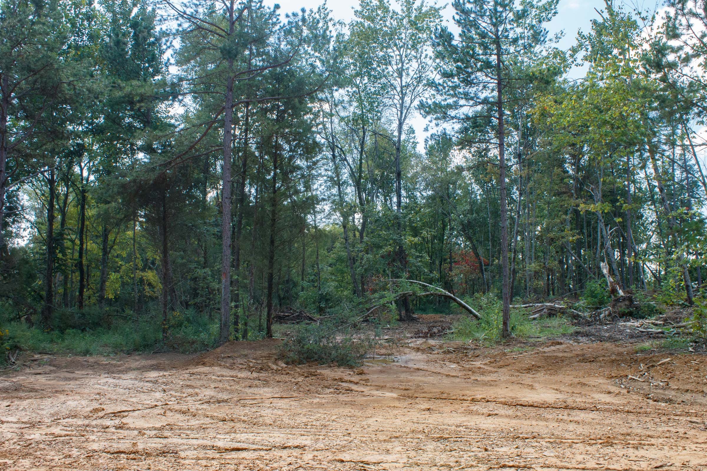 Wounded Oak Tract 18 photo 2