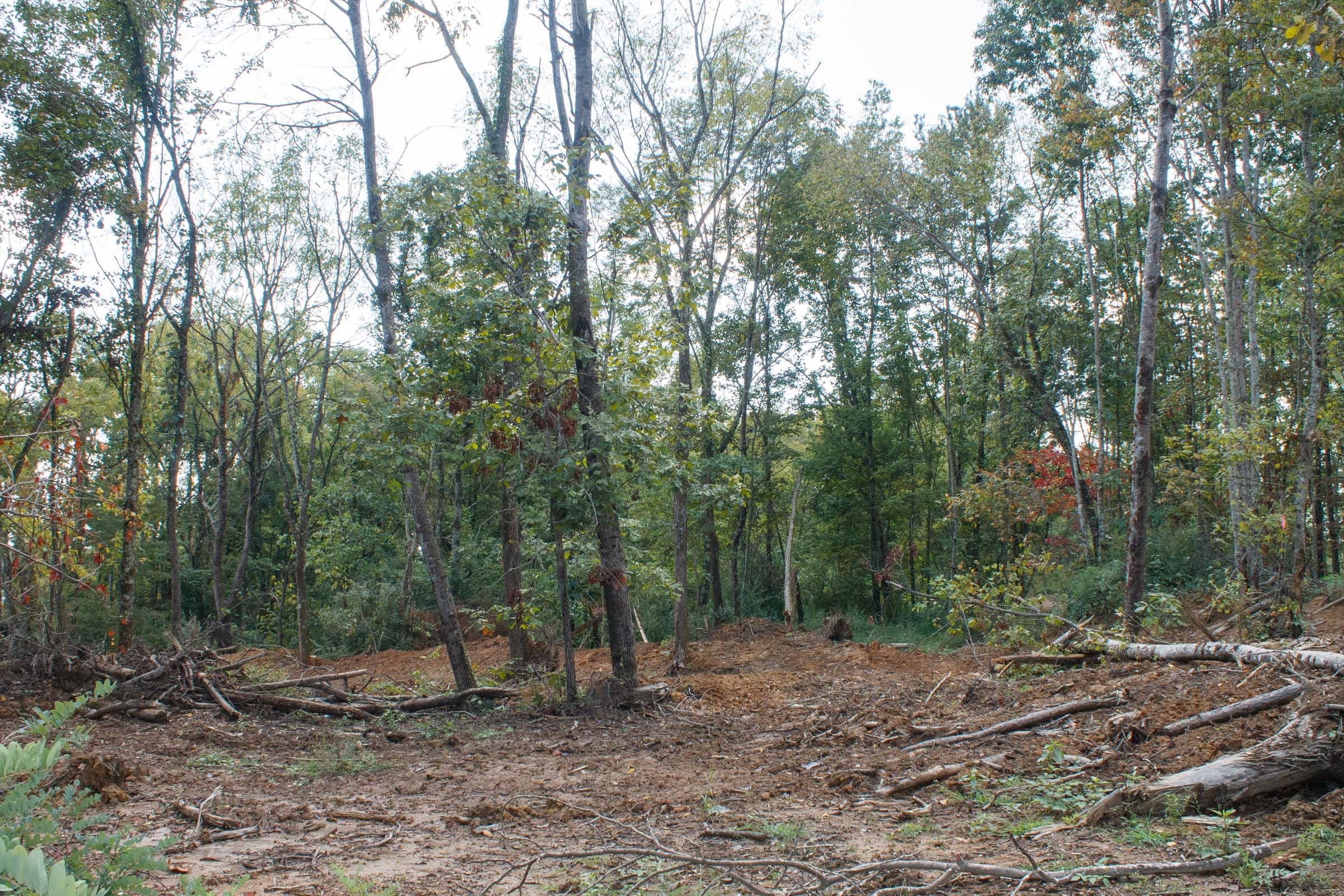 Wounded Oak Tract 18 photo 3