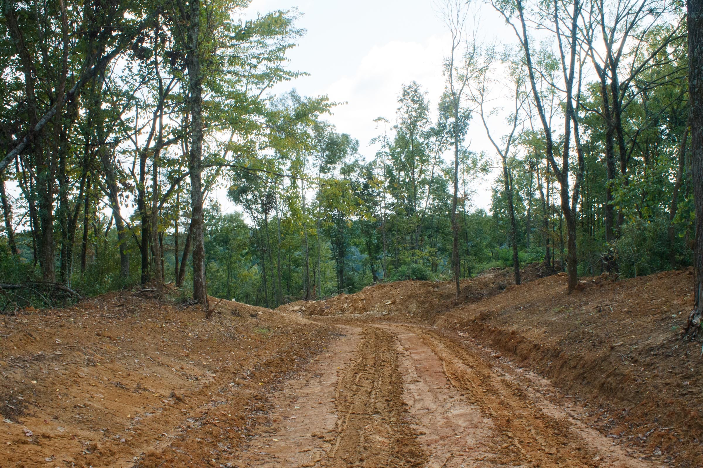 Wounded Oak Tract 18 photo 4