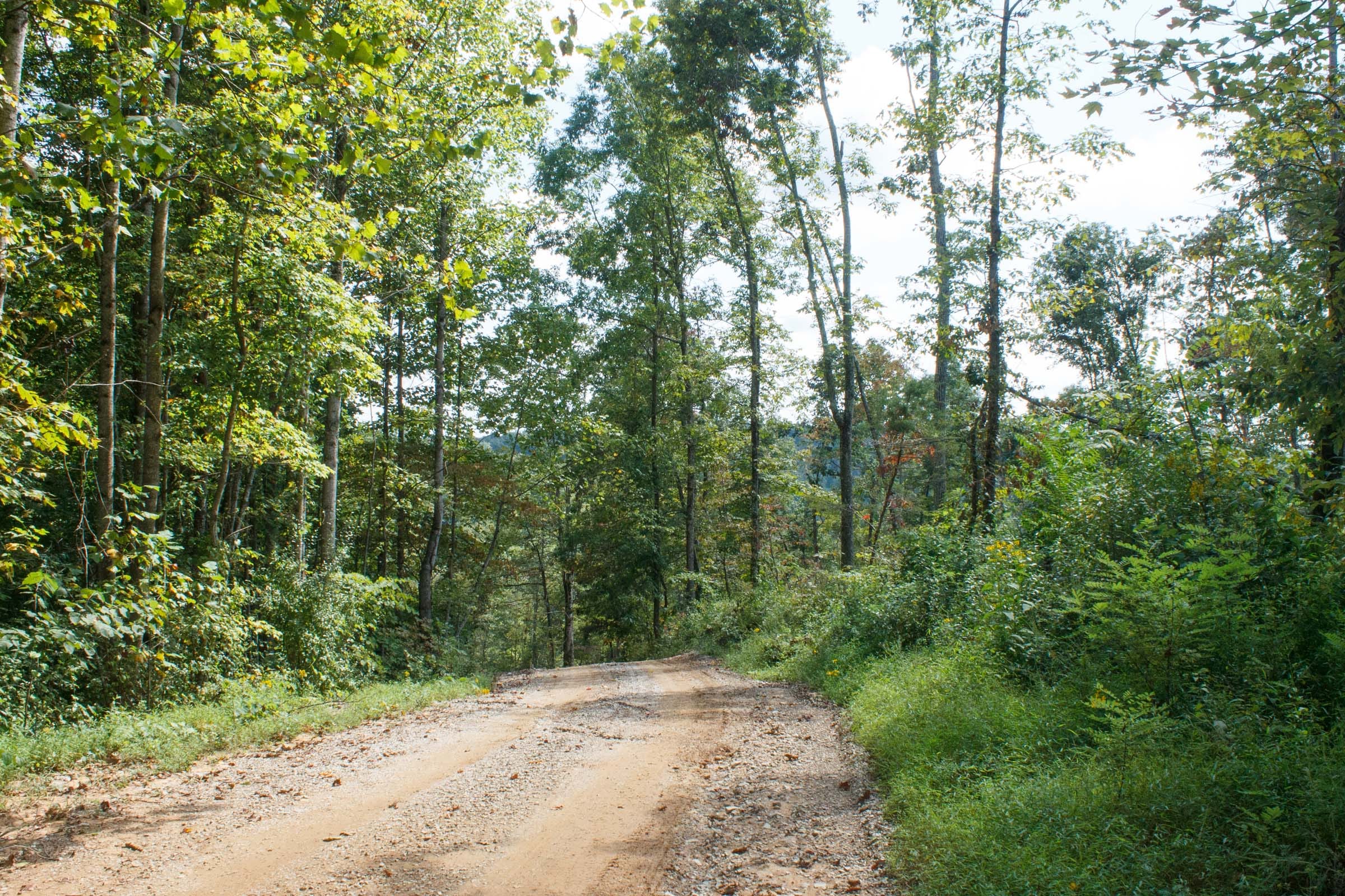Wounded Oak Tract 18 photo 11