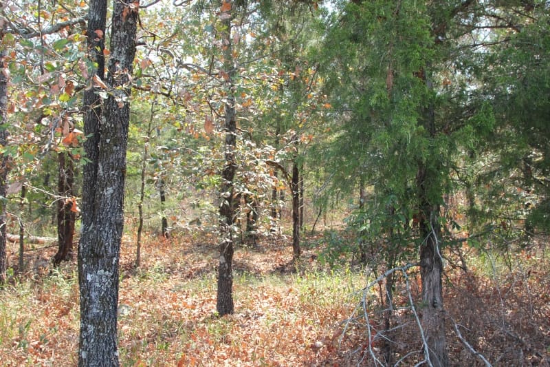 Lake View Ranch Tract 8 photo 1