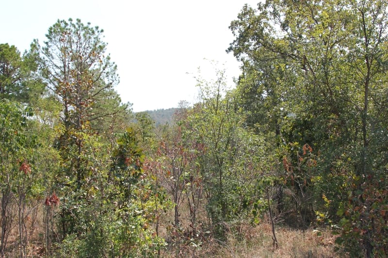 Lake View Ranch Tract 8 photo 2