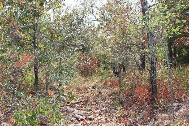 Lake View Ranch Tract 8 photo 4