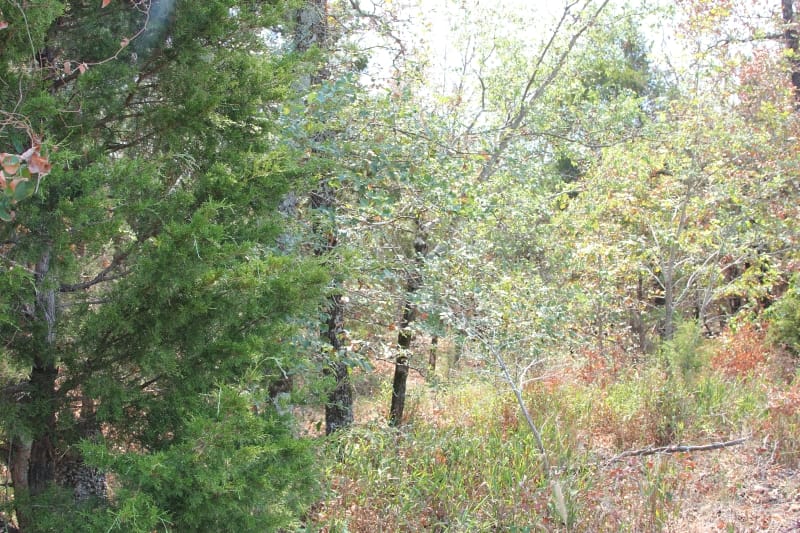 Lake View Ranch Tract 8 photo 6