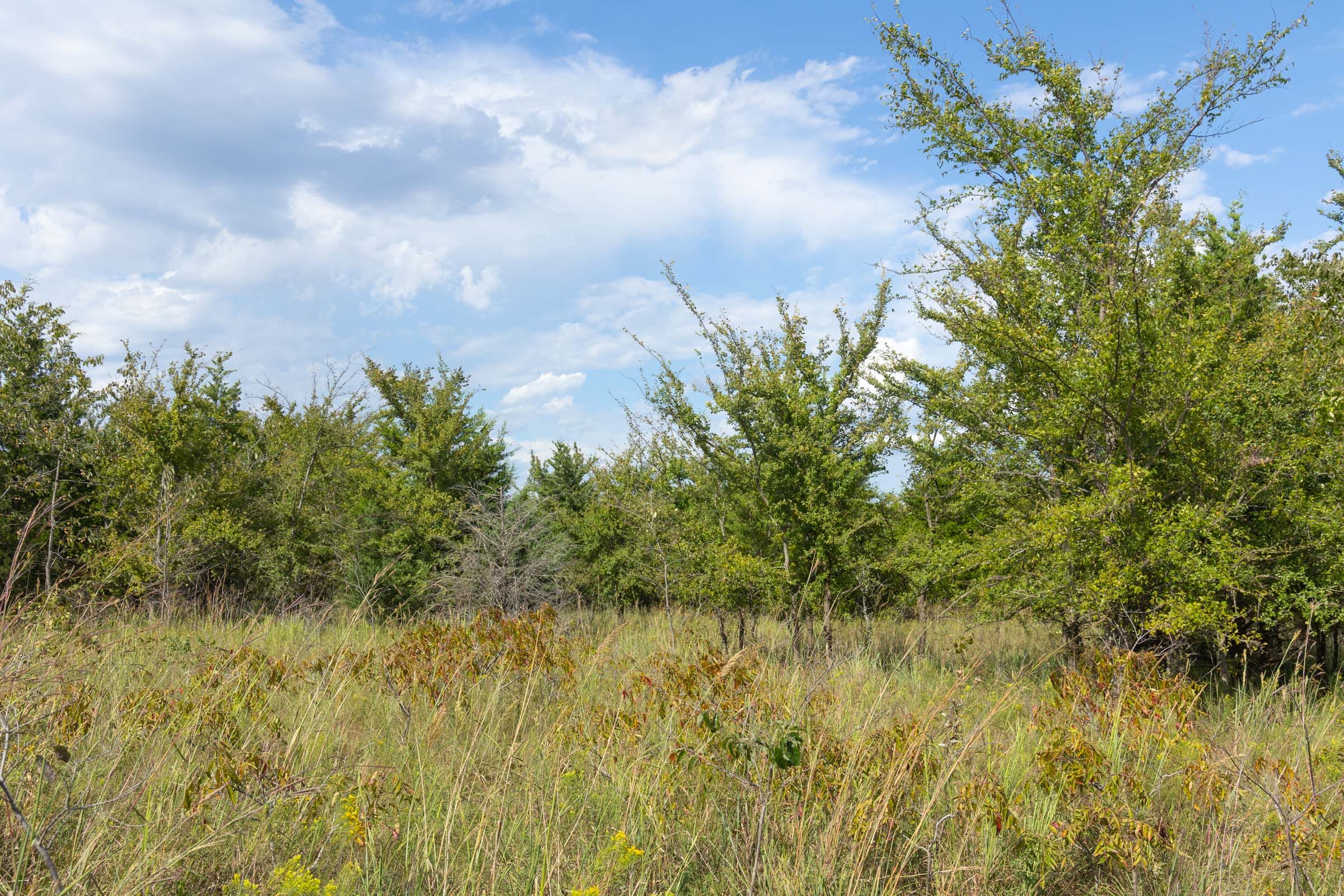 Reserves At Cattail Cove Phase II Tract 96 photo 4
