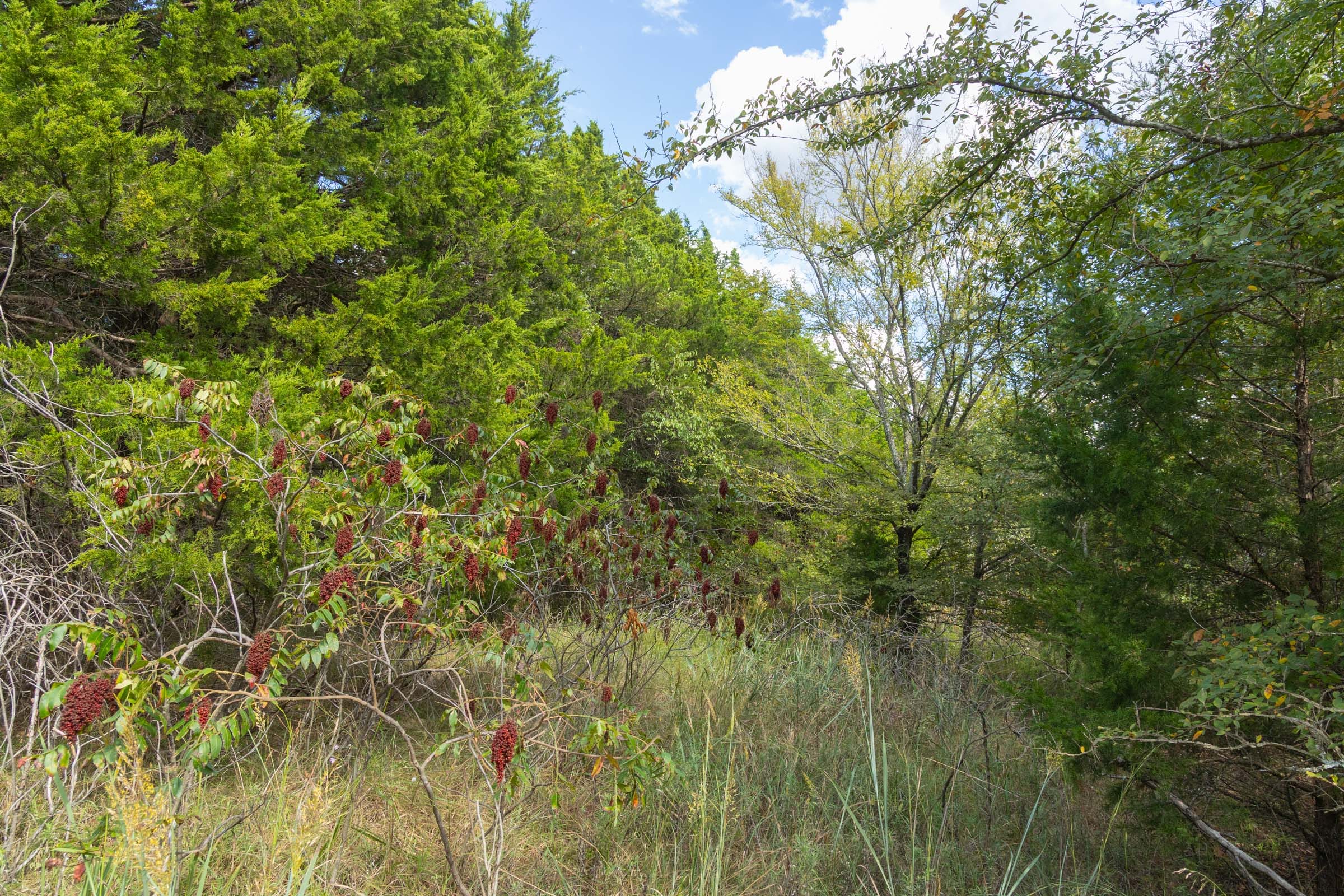 Reserves At Cattail Cove Phase II Tract 96 photo 7