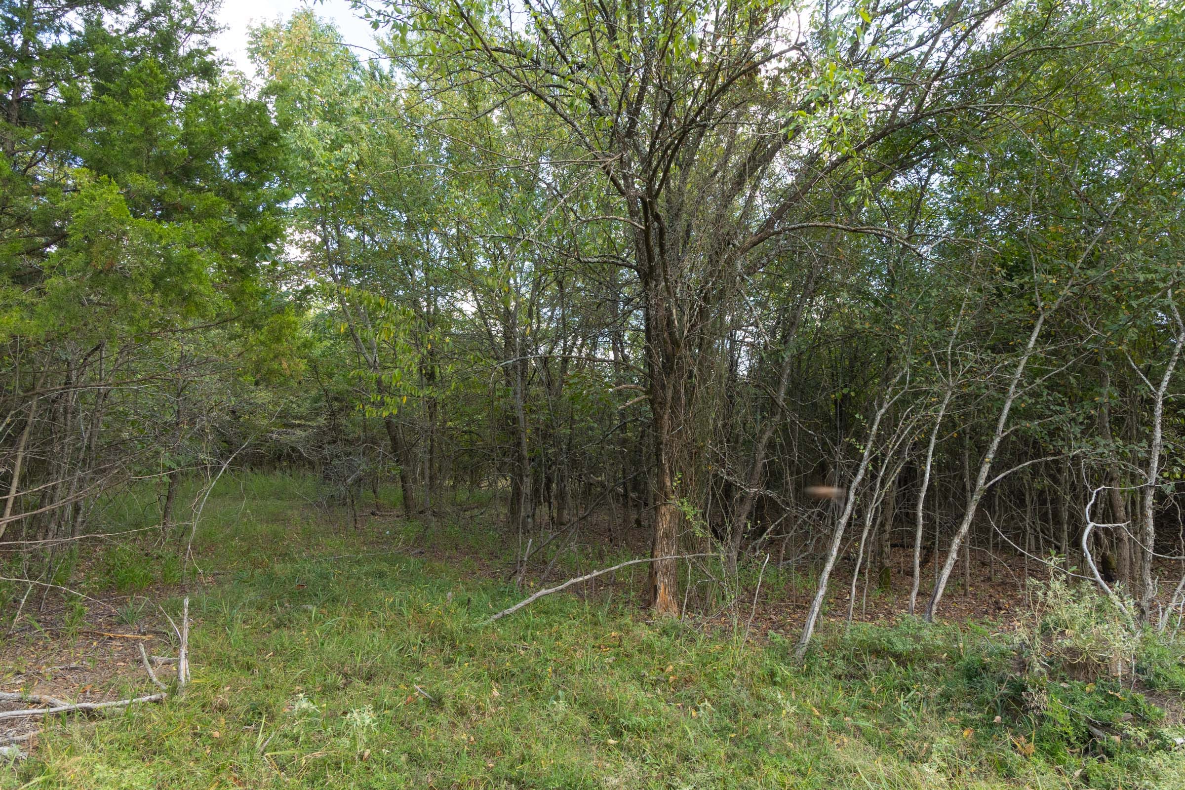 Reserves At Cattail Cove Phase II Tract 96 photo 10