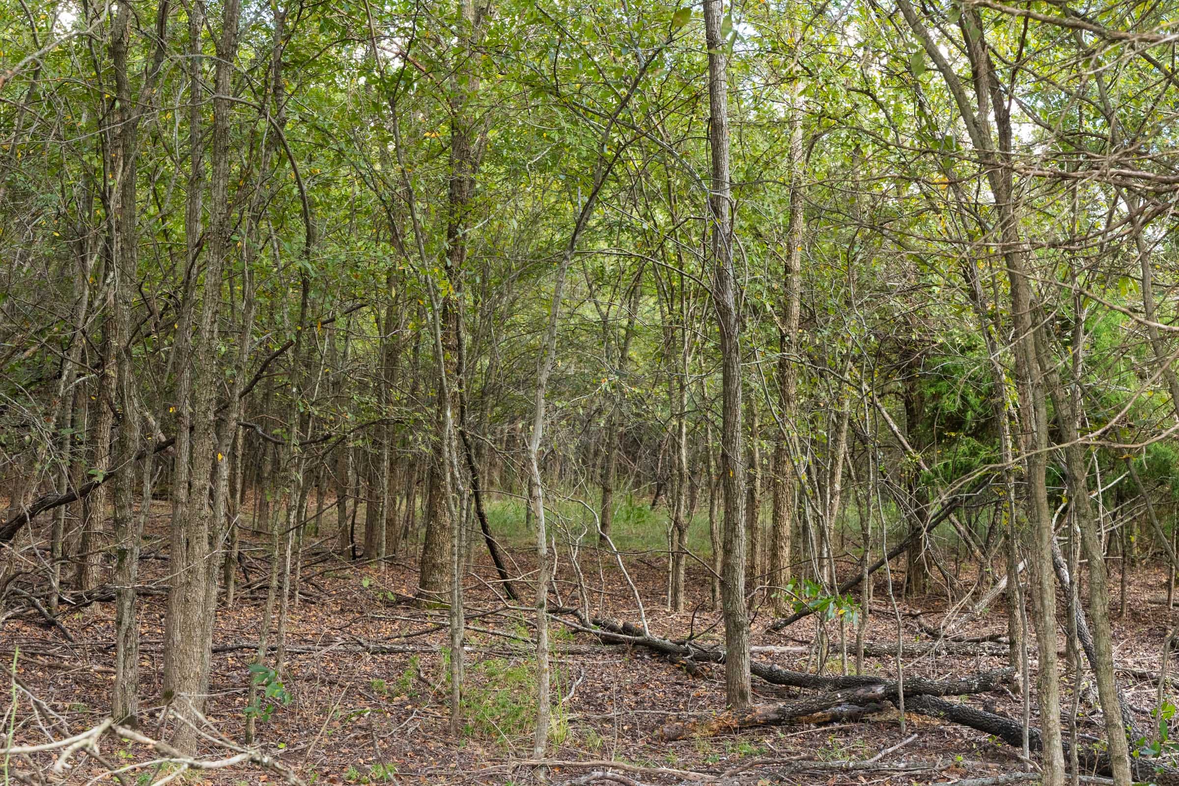 Reserves At Cattail Cove Phase II Tract 96 photo 6