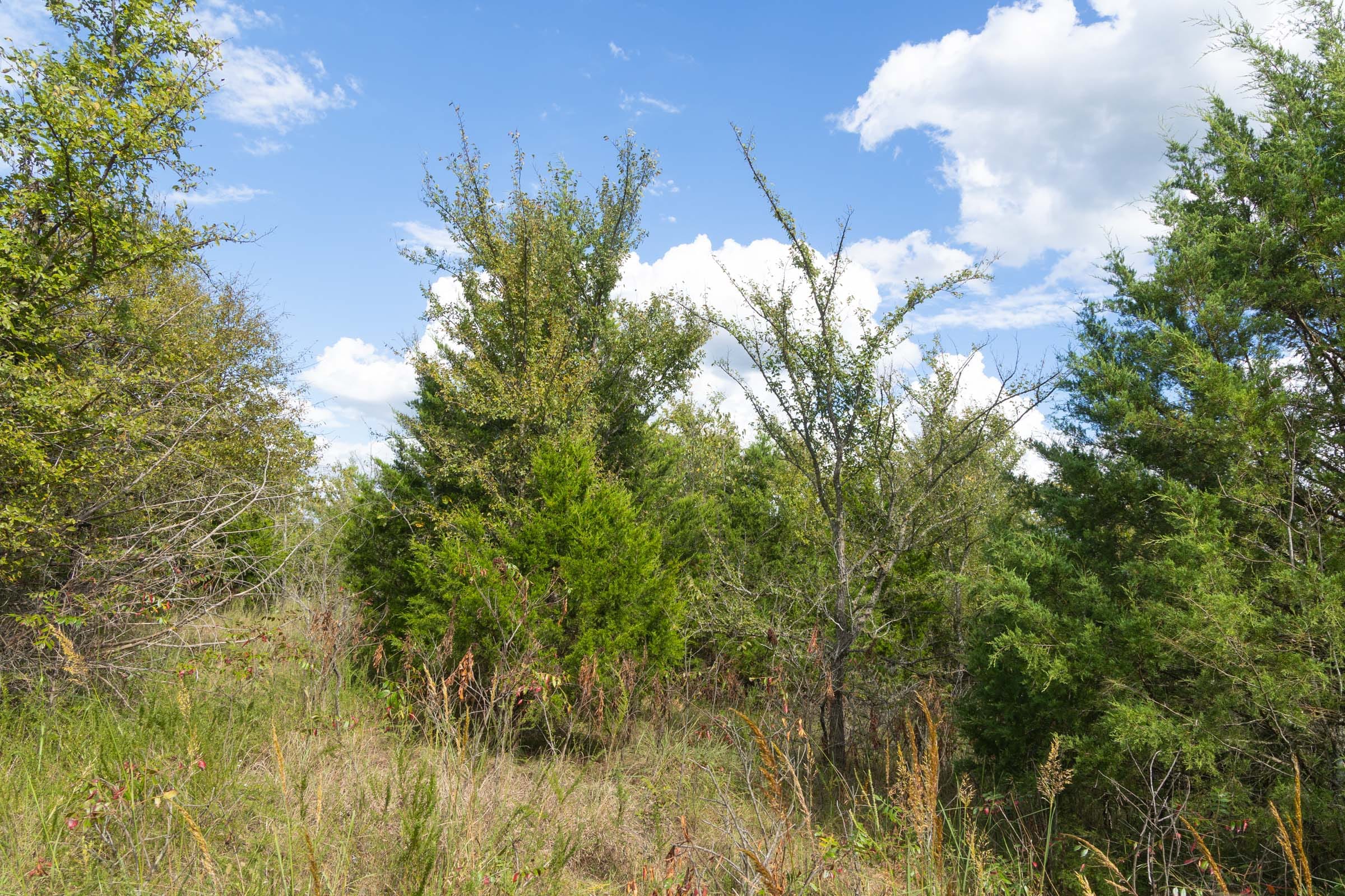 Reserves At Cattail Cove Phase II Tract 96 photo 5