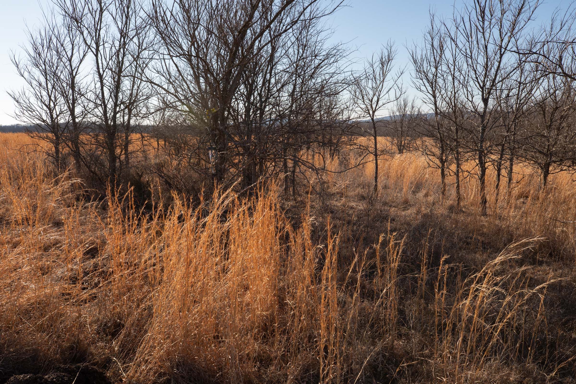 Painted Horse Tract 57 photo 3