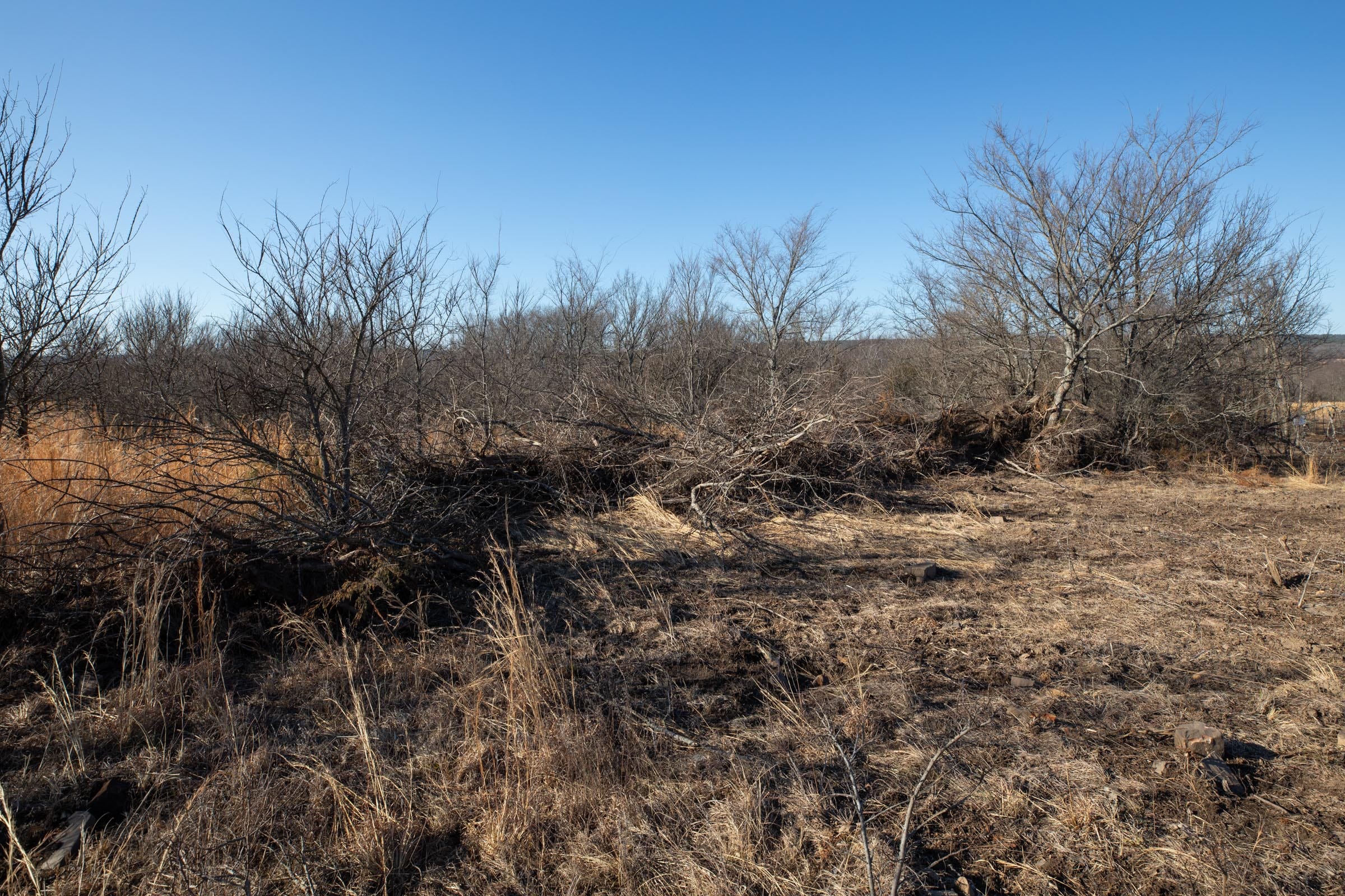 Painted Horse Tract 57 photo 4