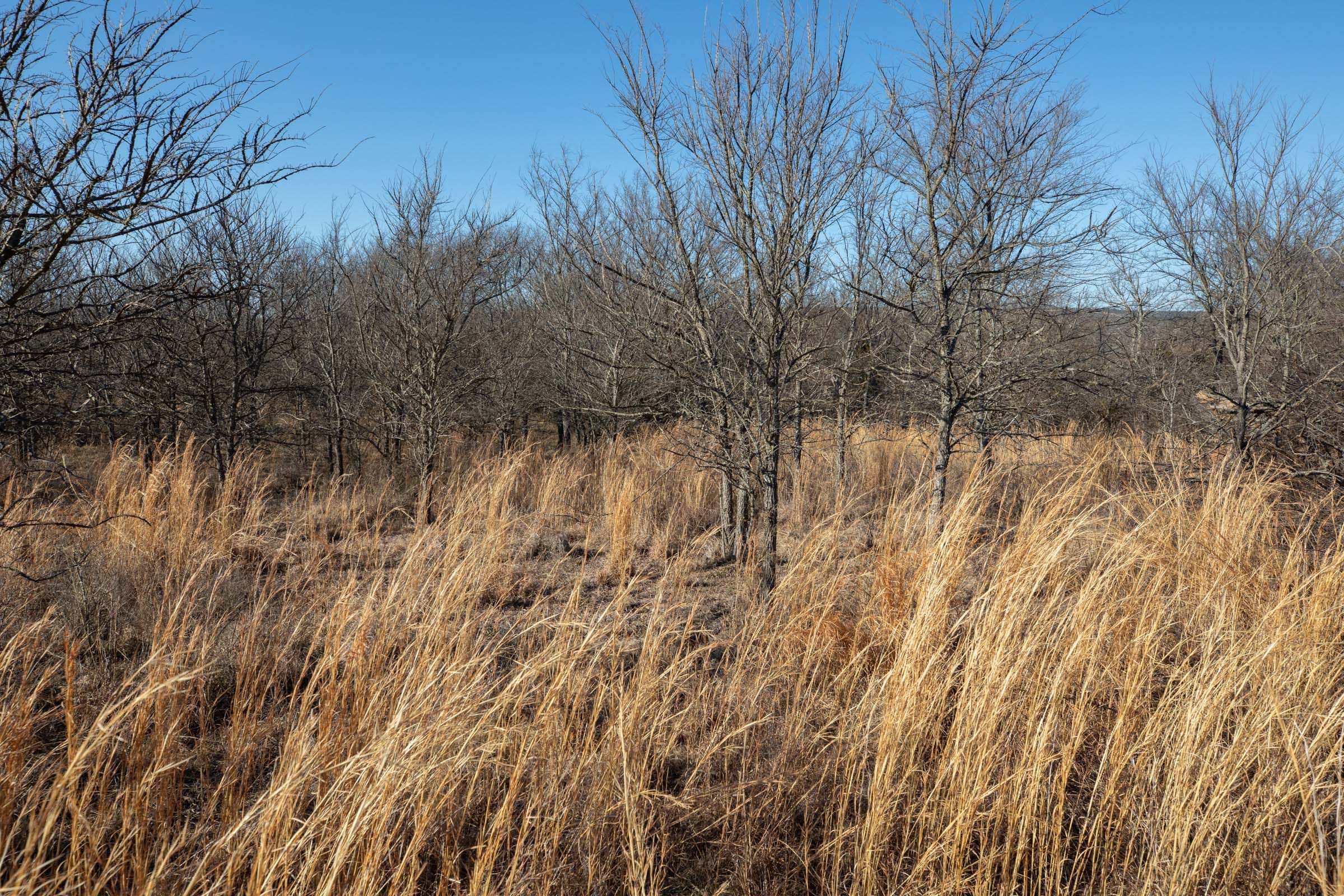 Painted Horse Tract 57 photo 7