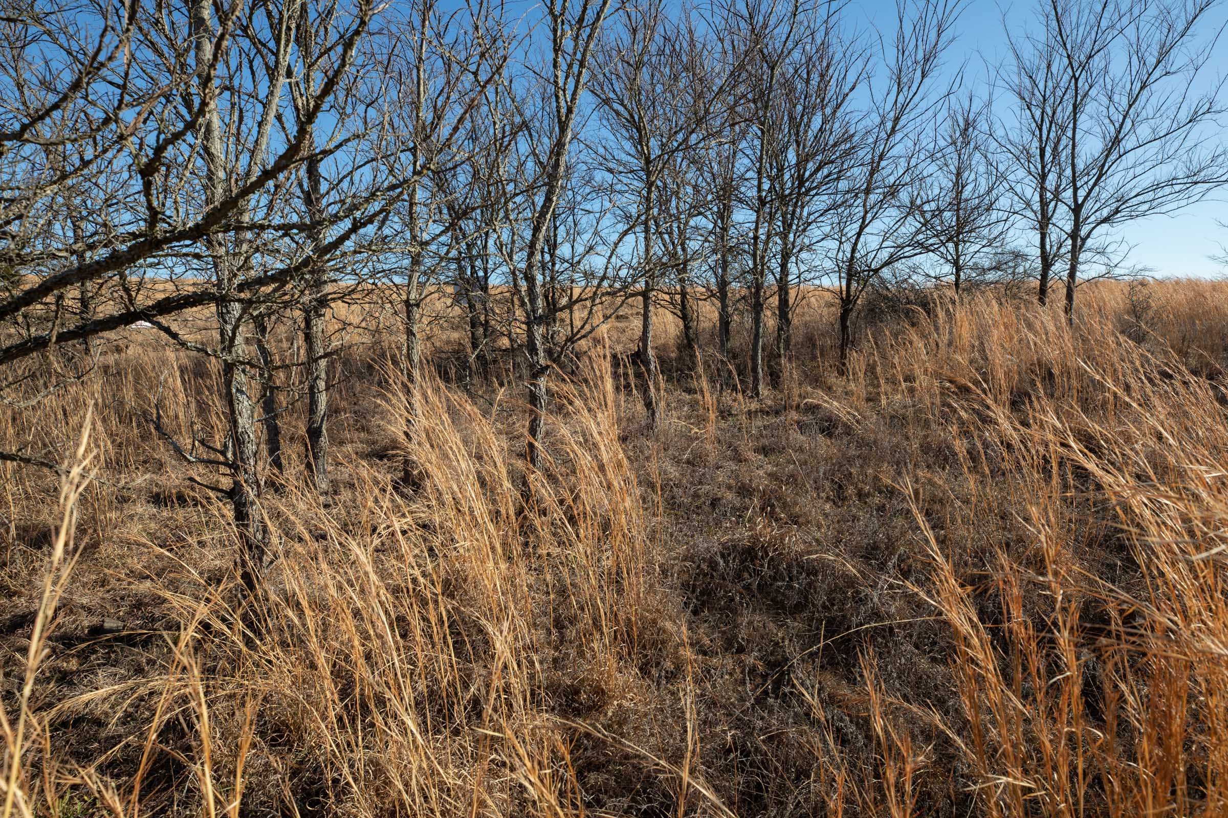 Painted Horse Tract 57 photo 8