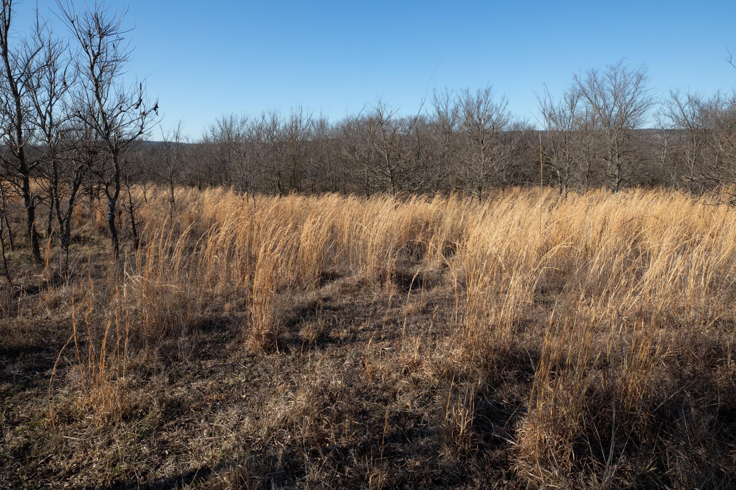 Painted Horse Tract 57 photo 9