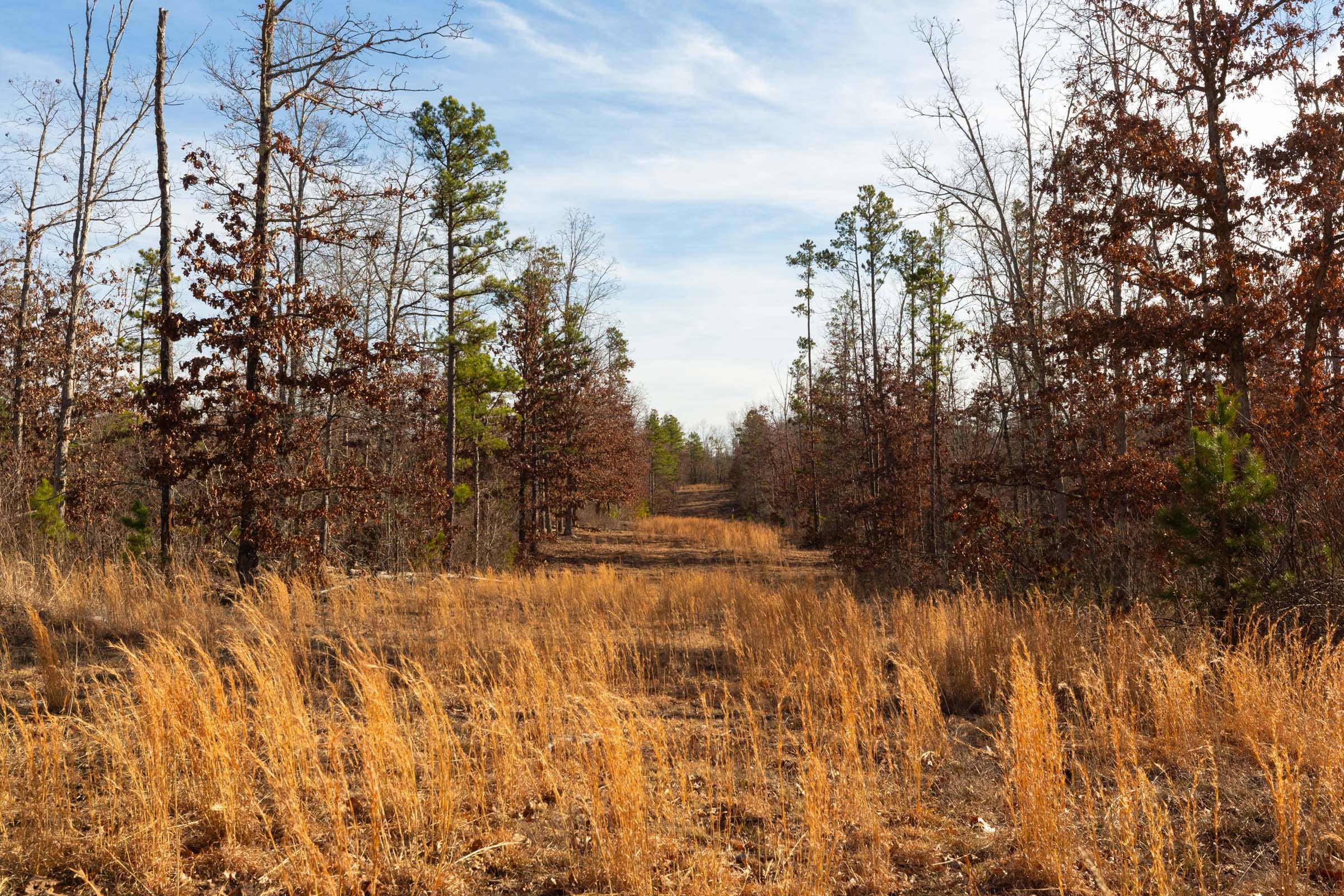 Windy Ridge Tract 11 photo 2