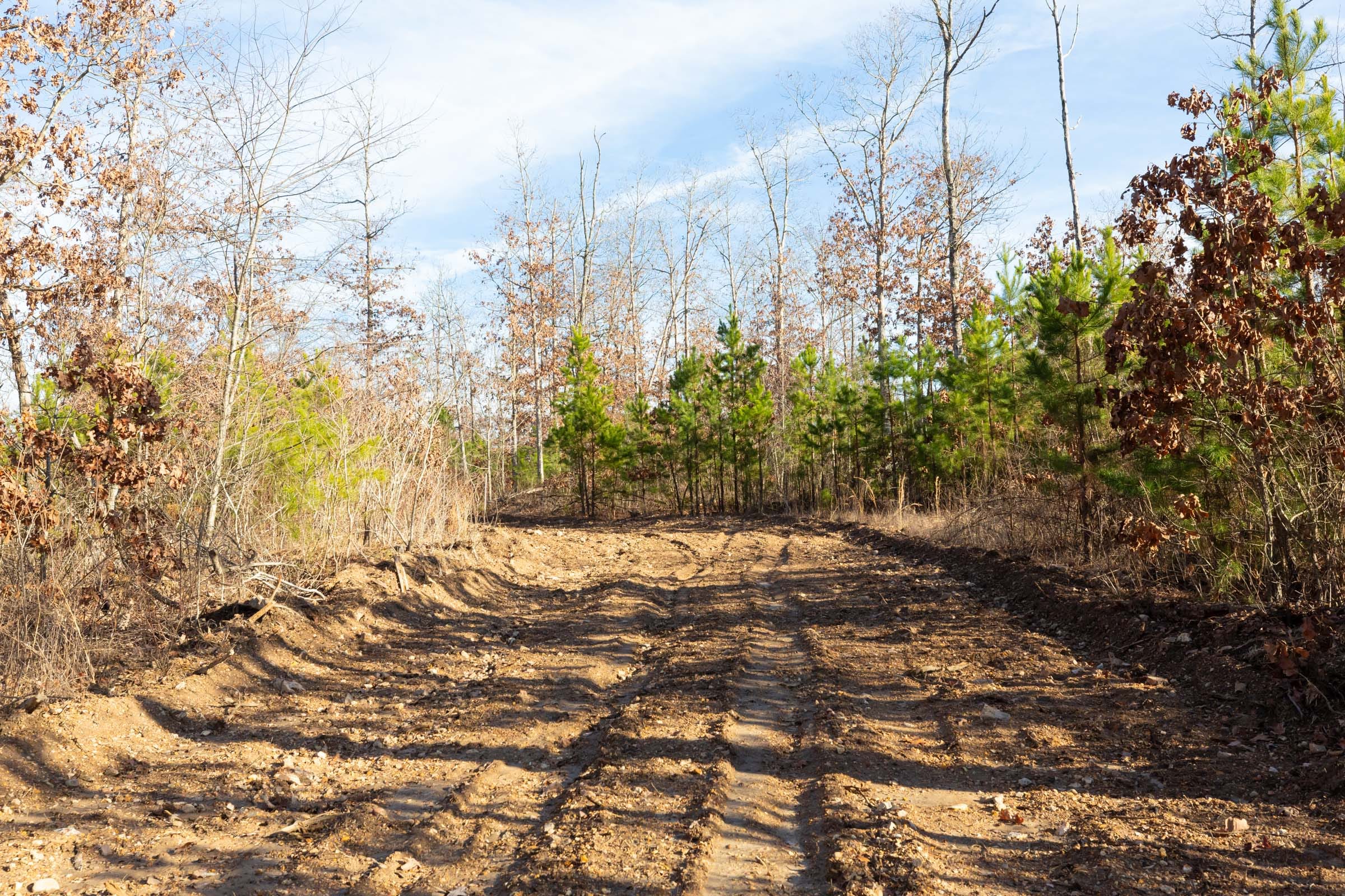 Windy Ridge Tract 11 photo 25