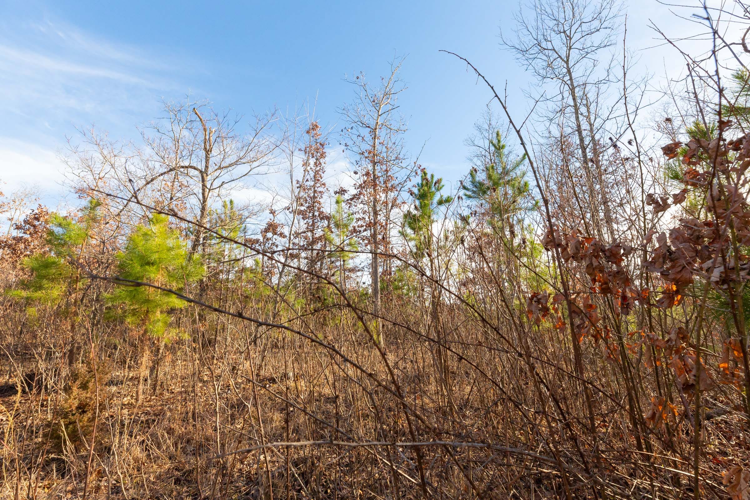 Windy Ridge Tract 11 photo 13