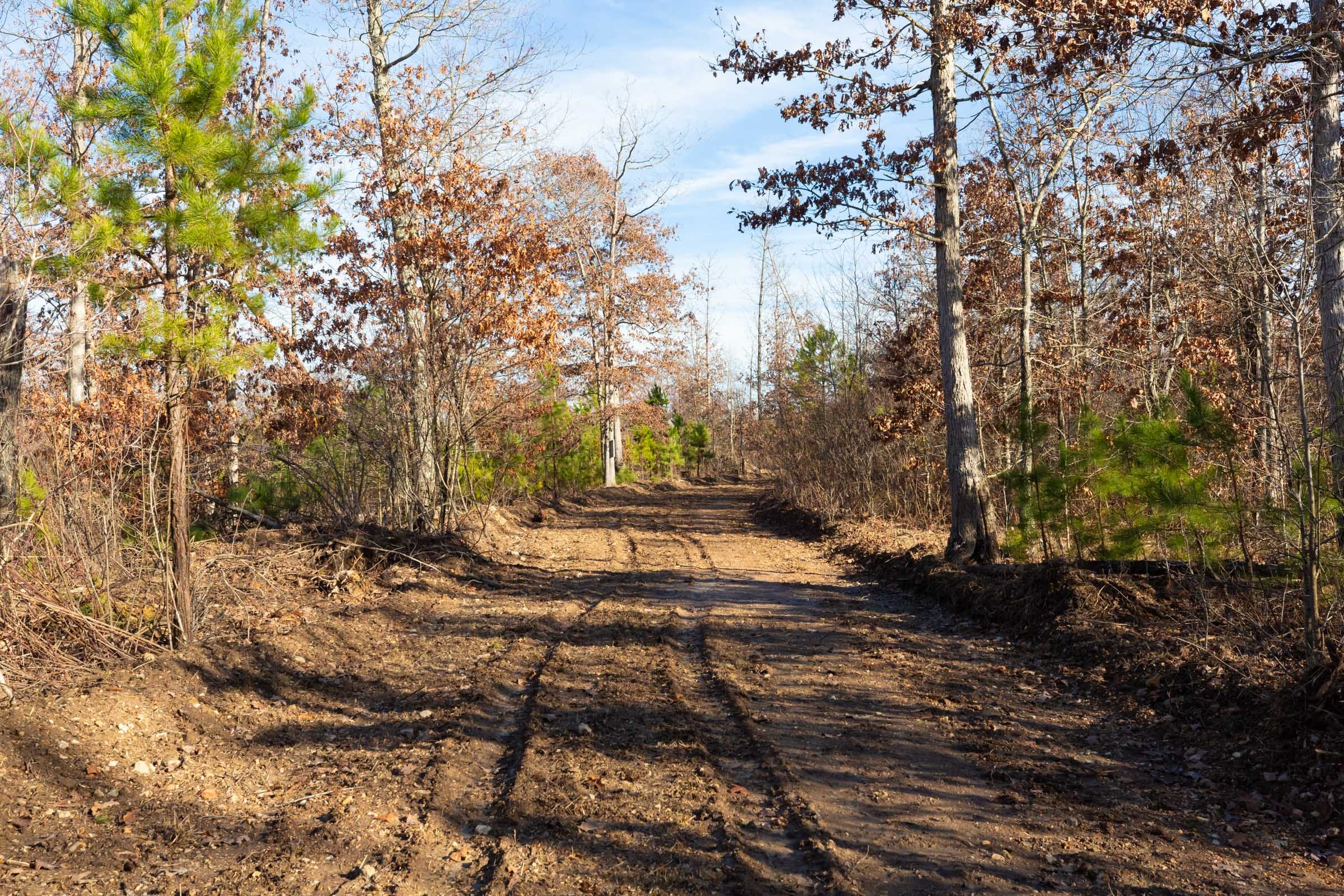 Windy Ridge Tract 11 photo 1