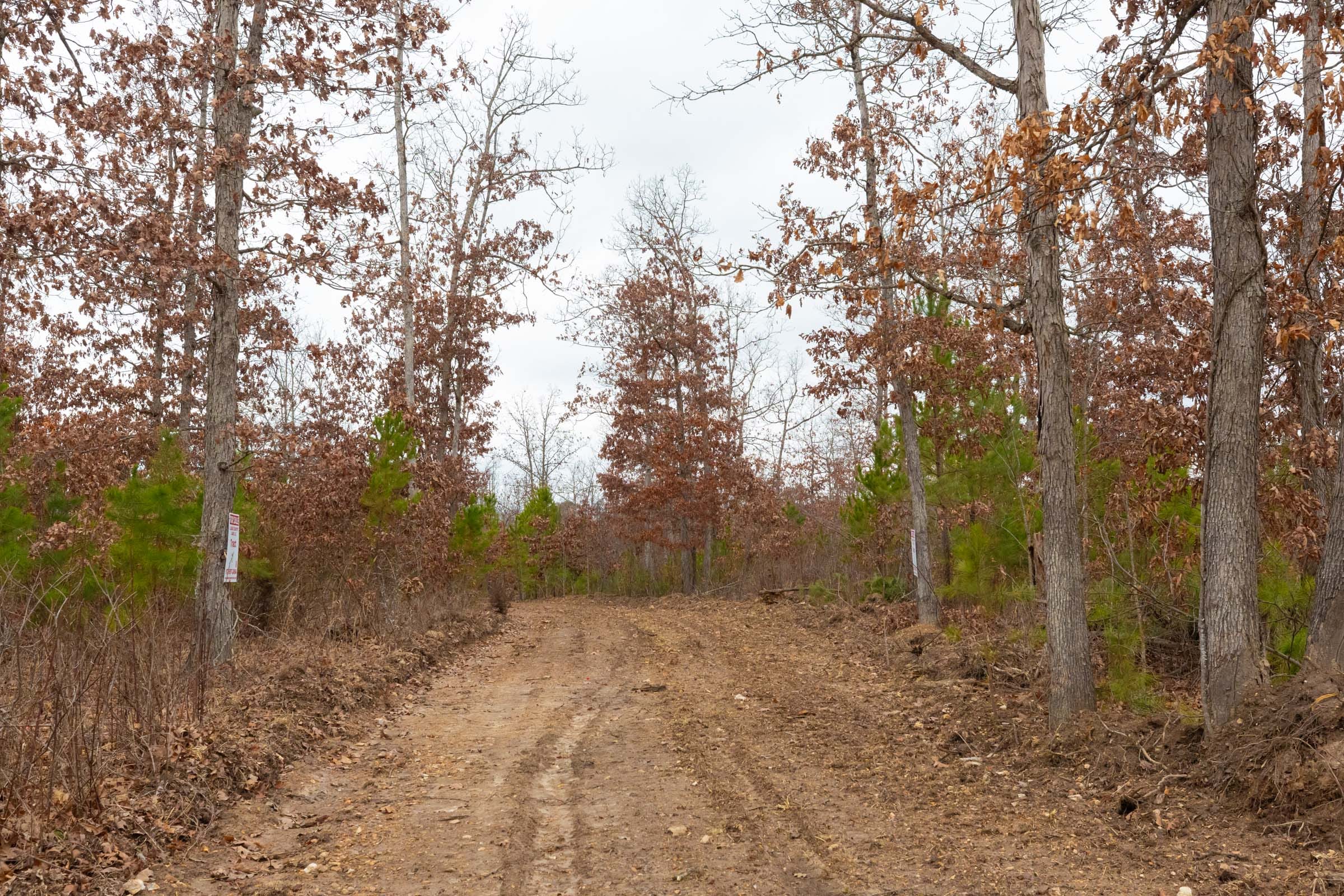 Windy Ridge Tract 11 photo 15