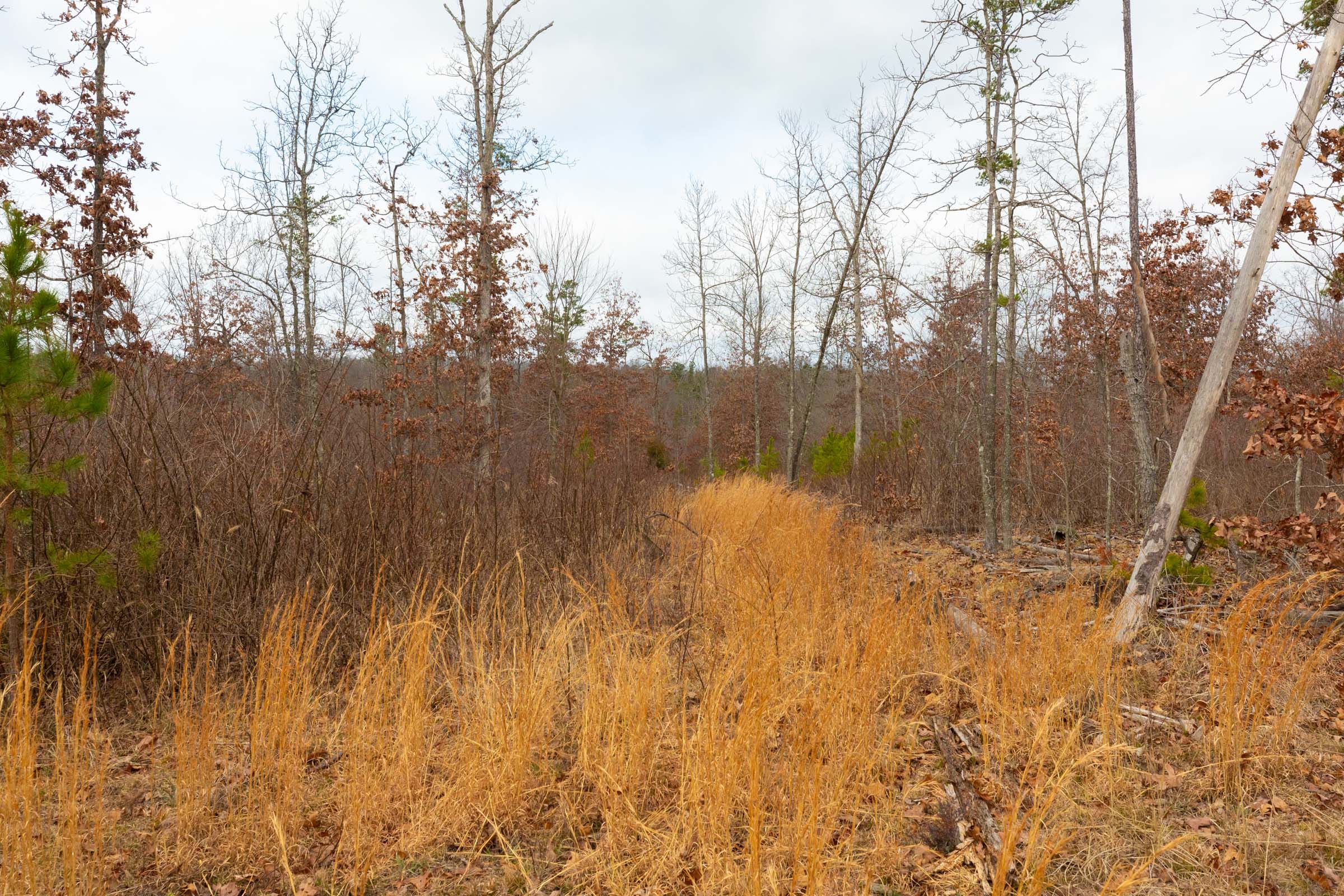 Windy Ridge Tract 11 photo 26