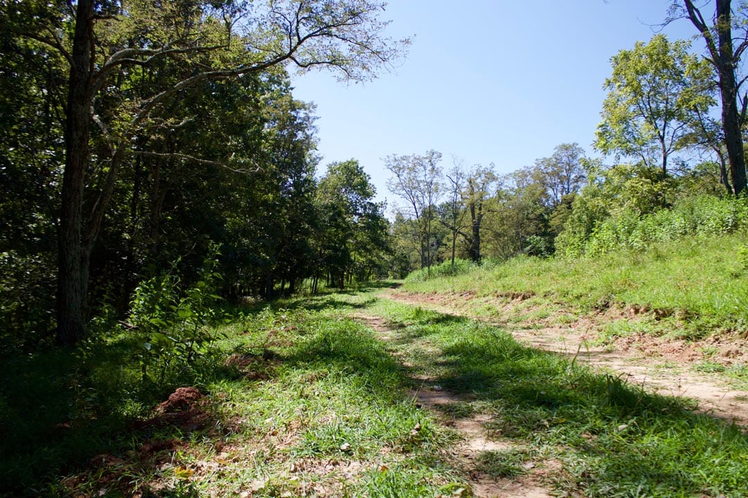 Heritage Hollow Tract 16 photo 2
