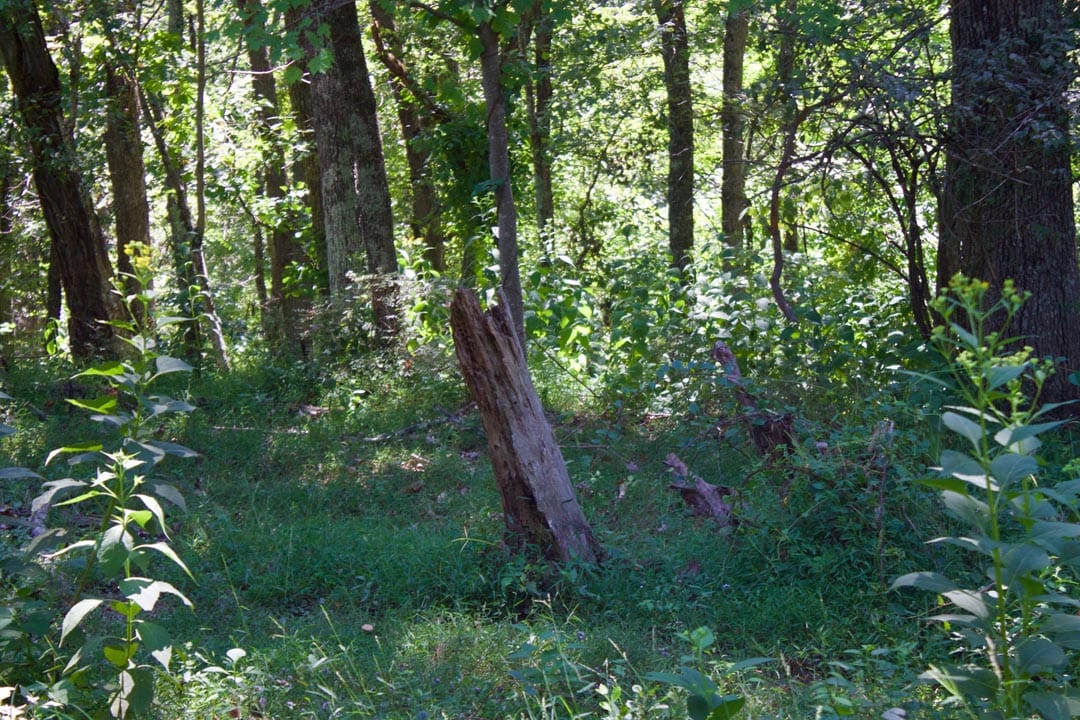 Heritage Hollow Tract 16 photo 13