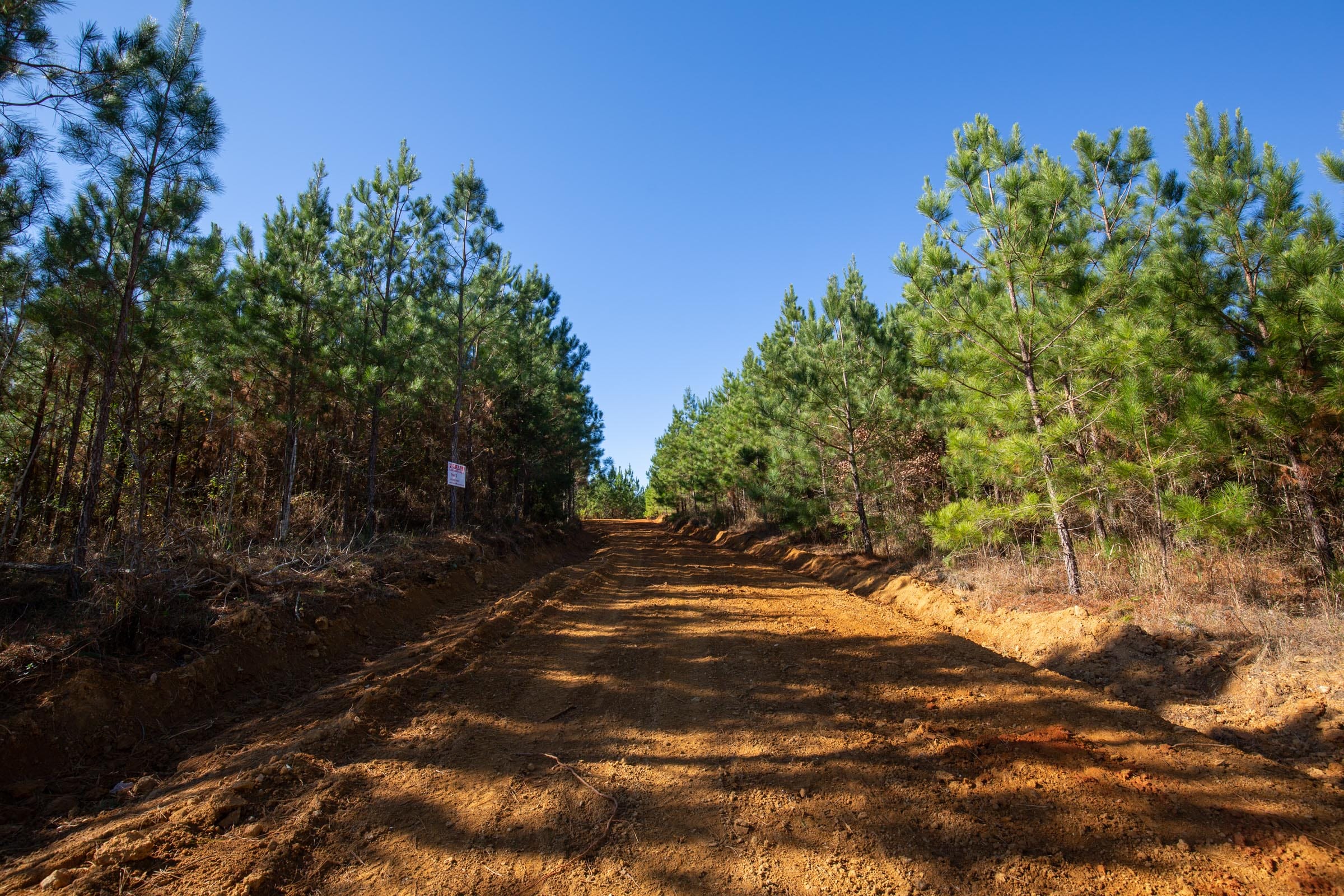 Pine Ridge Tract 9 photo 1
